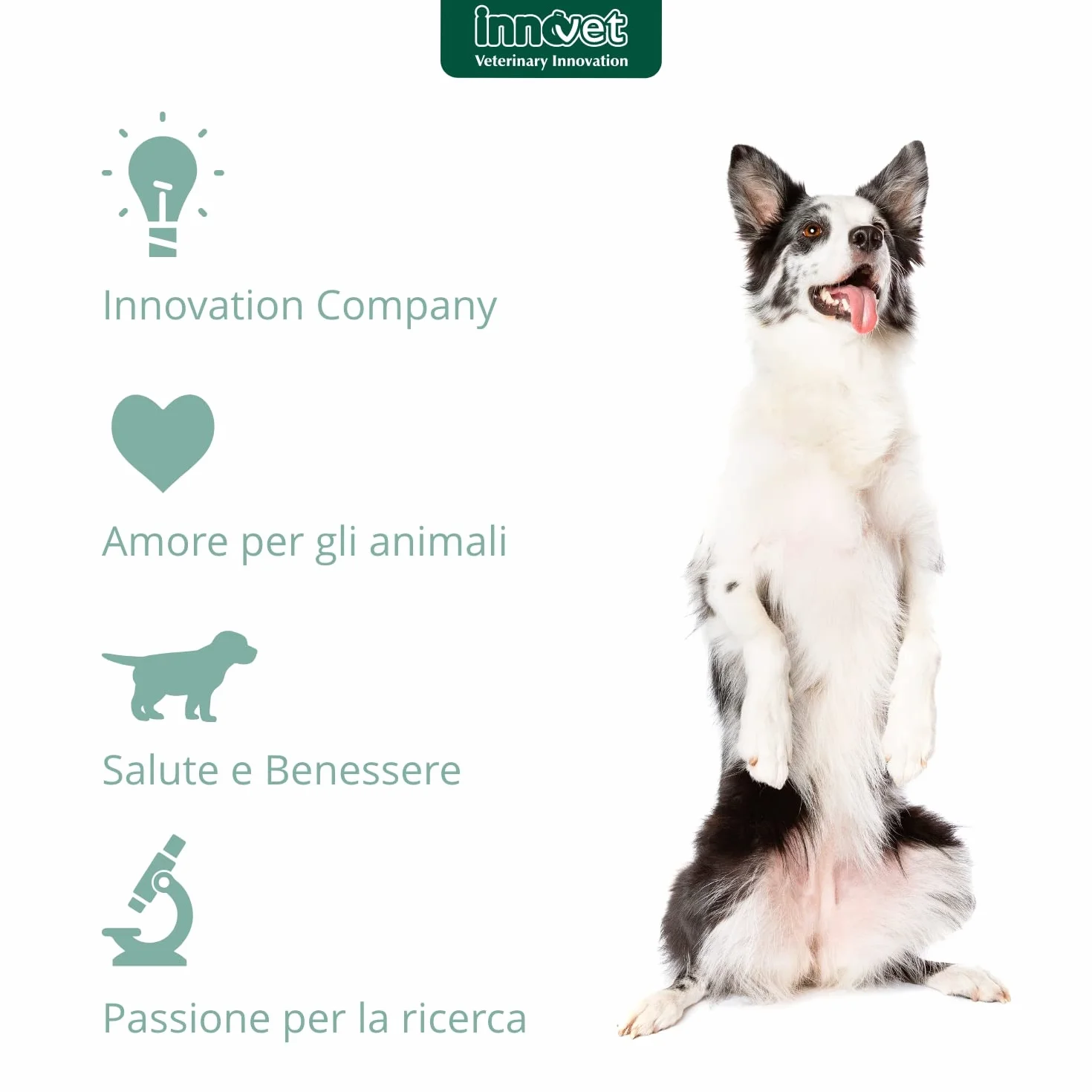 Retopix Spray Soluzione dermatologica lenitiva e igienizzante per Cani e Gatti, in caso di Secrezioni Oleose ed Arrossamenti - Confezione 100 ml spray no gas