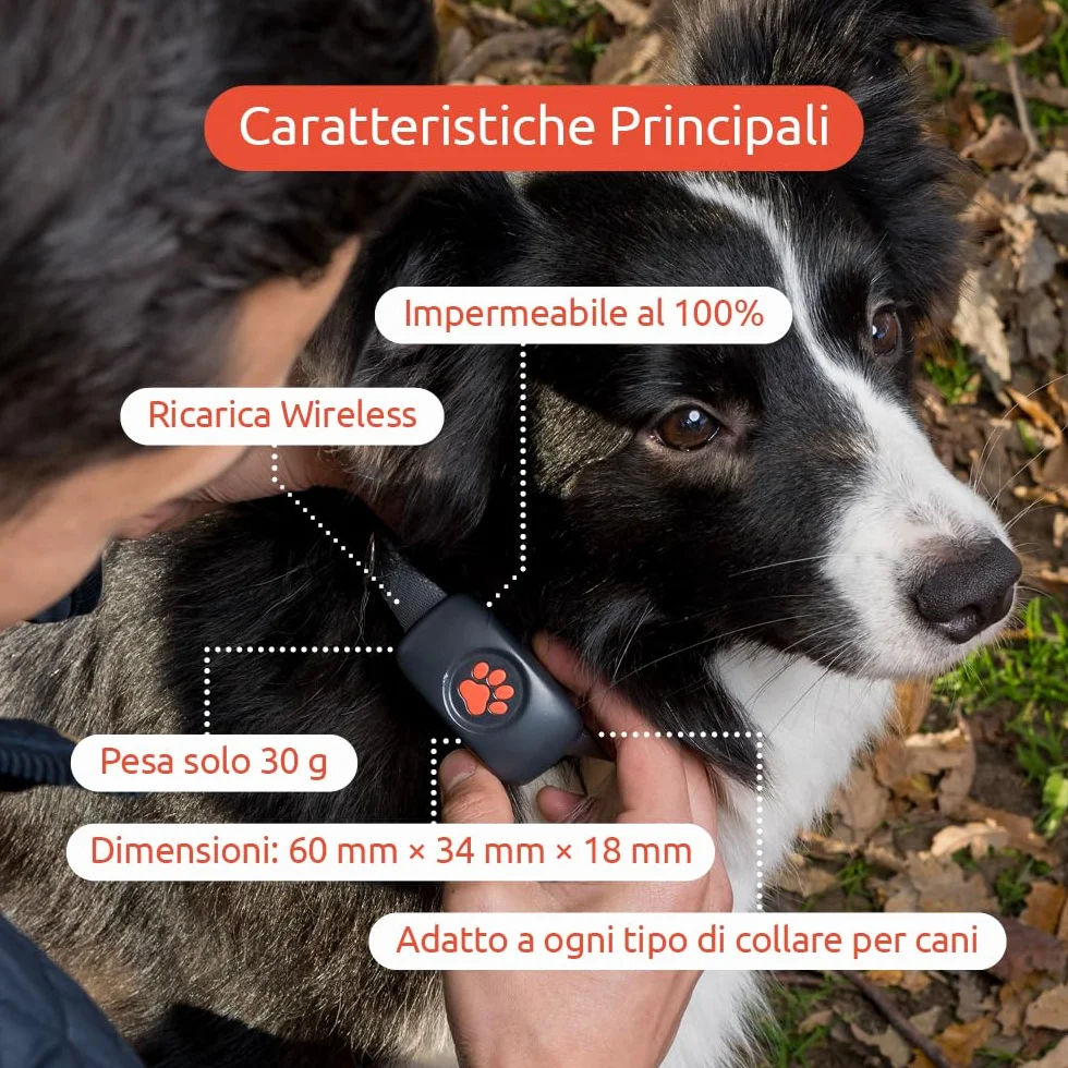 PitPat Localizzatore GPS per cani, non richiede abbonamento, adatto a tutti i cani e si adatta a tutti i collari, smart activity tracker, tracciamento satellitare con portata illimitata (Nero)