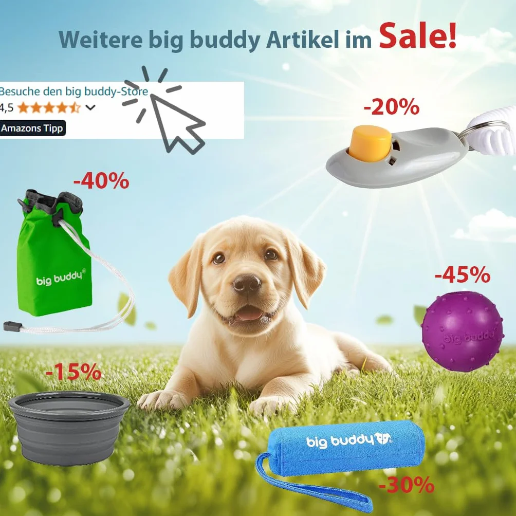 Clicker professionale big buddy con cinturino elastico da polso, per addestramento con il clicker di cani, gatti, cavalli