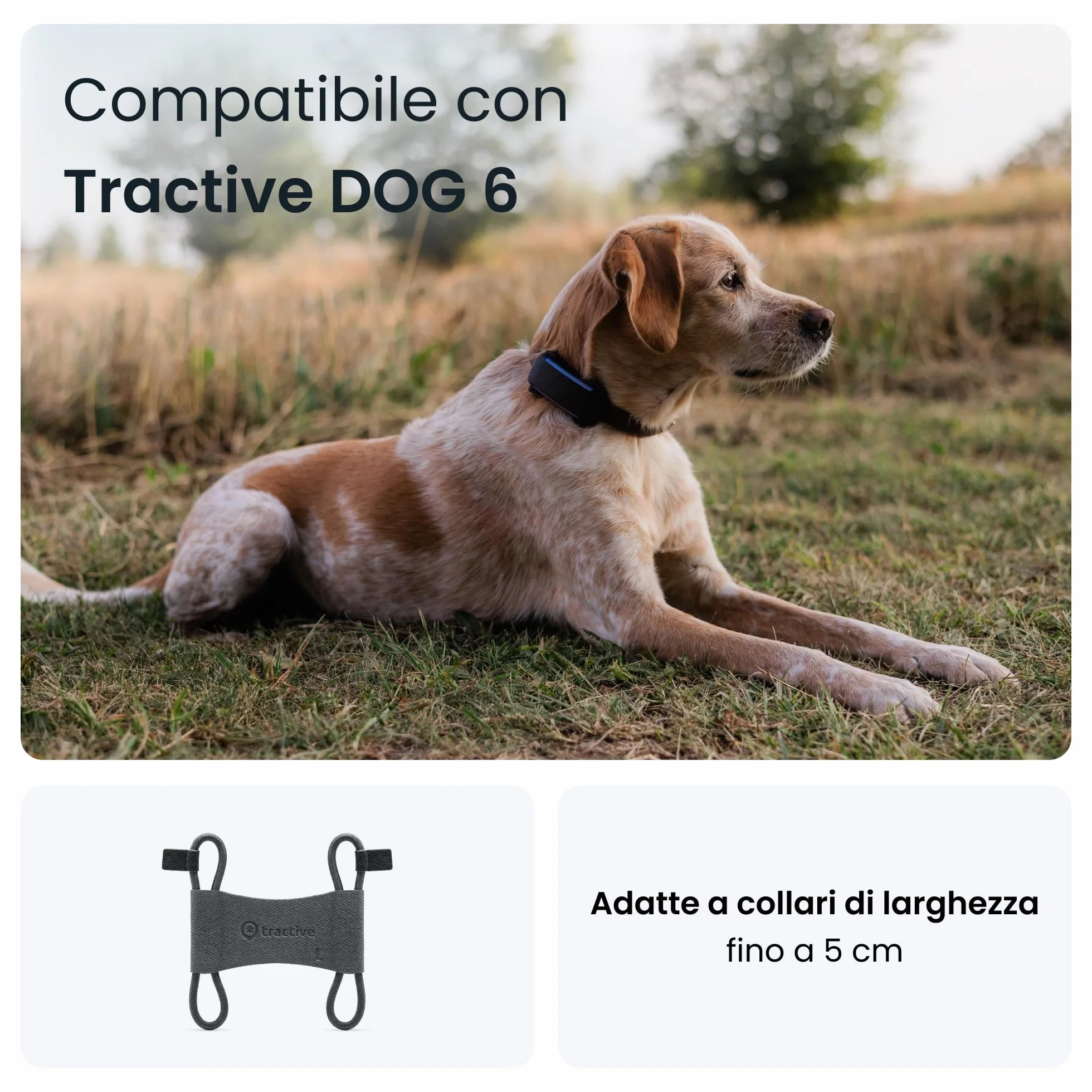 Tractive - 2 clip in tessuto per il GPS per cani Tractive DOG 6 (nero) - formato grande (L)