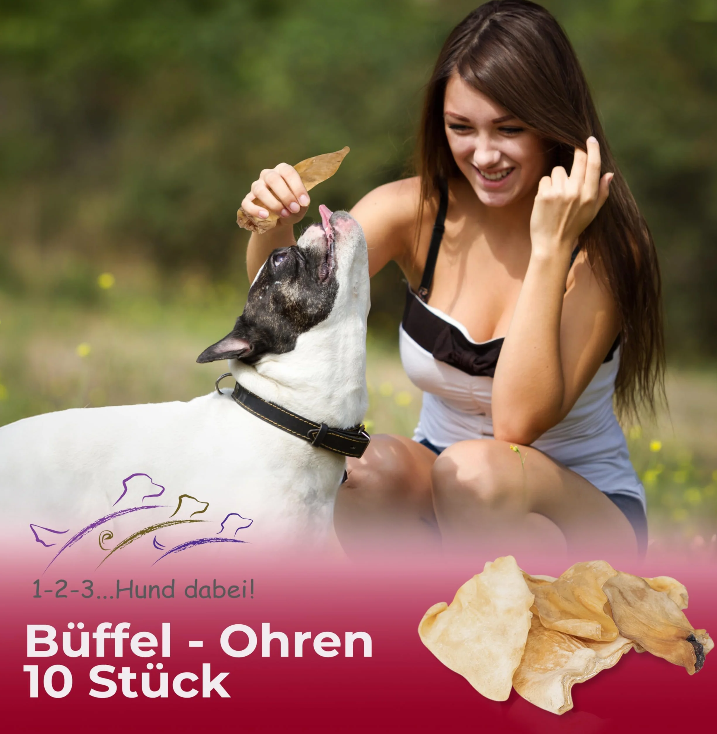 Orecchie di bufalo 10 pezzi – orecchie di manzo – Snack magro per intervallo e come ricompensa – Pacchetto di scorte (orecchie di manzo 10 pezzi)