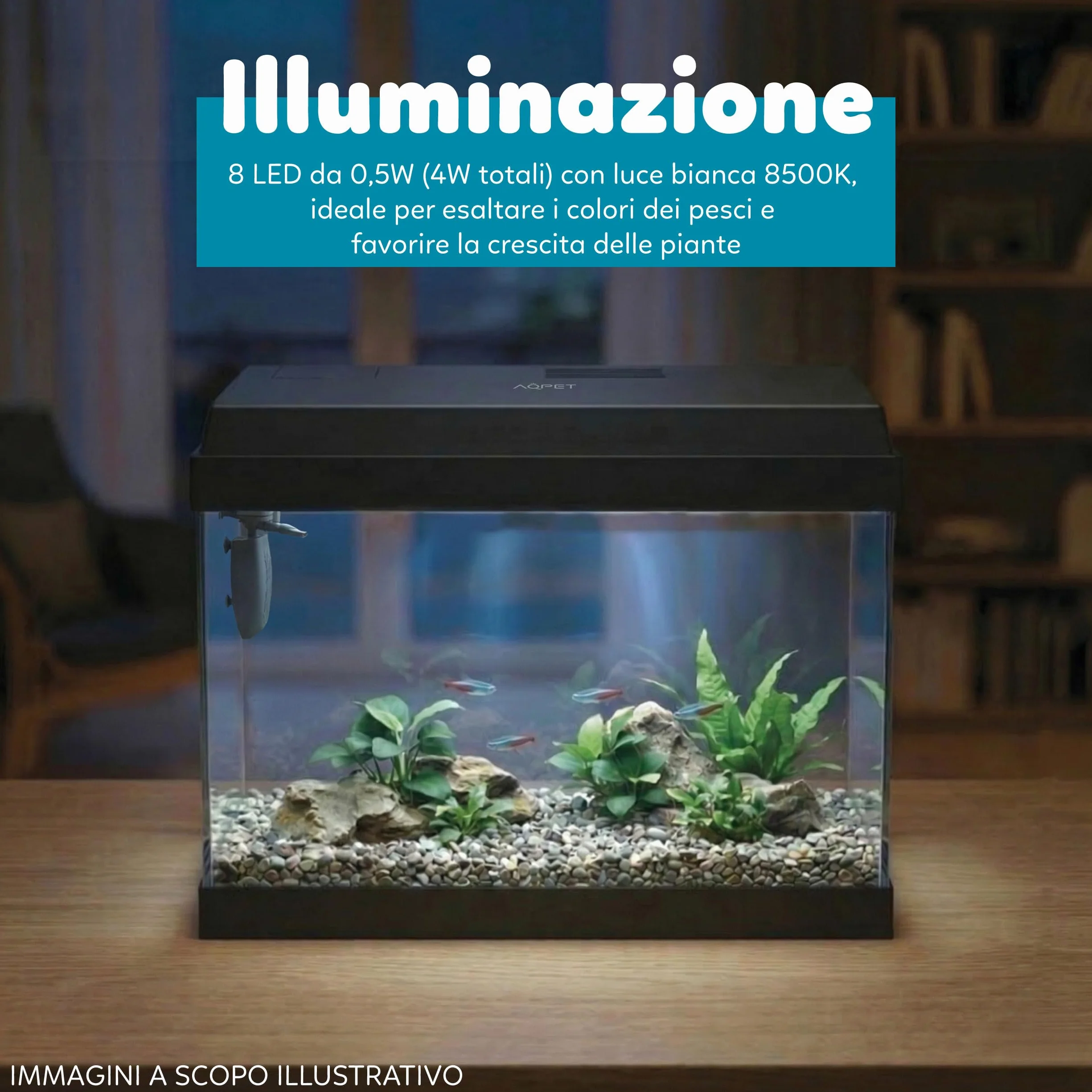 AQPET Acquario in Vetro per Pesci Tropicali Completo di Accessori Filtro Luce Simply, 30 39x22x30 cm 30 Litri