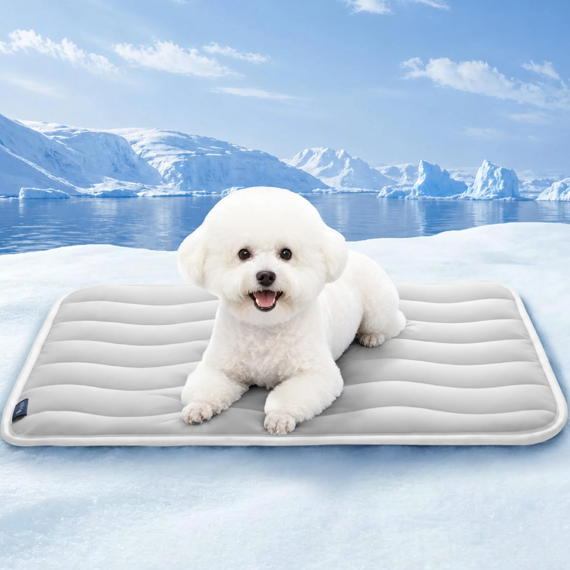 Angelpet Tappetino Rinfrescante per Cani 60x50cm, Q-MAX >0,56, Senza Gel, Antiscivolo, Lavabile, Grigio