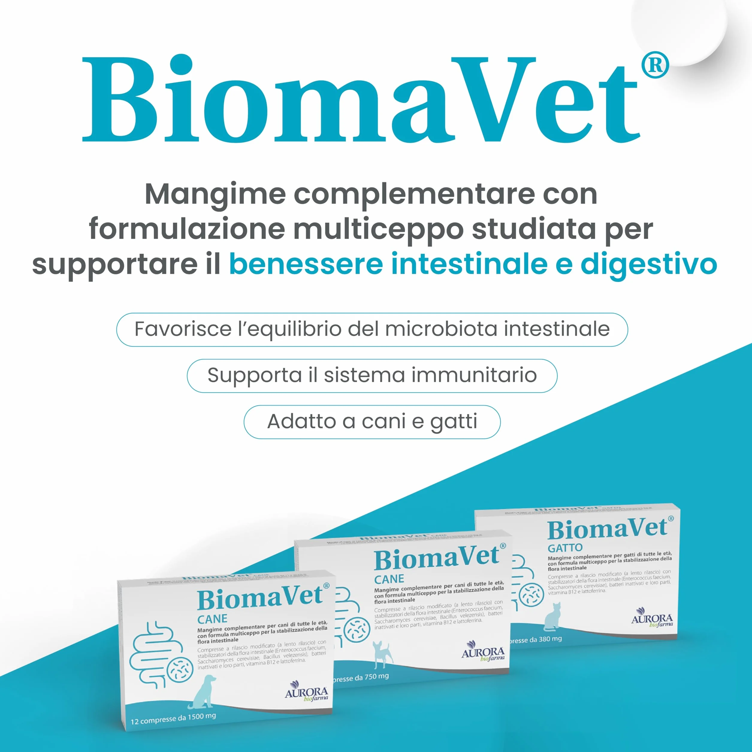 BiomaVet Probiotici Gatto per il Benessere Intestinale - Probiotici per Gatti con Formulazione Multiceppo, Lattoferrina e Vitamina B12-12 Compresse da 380mg