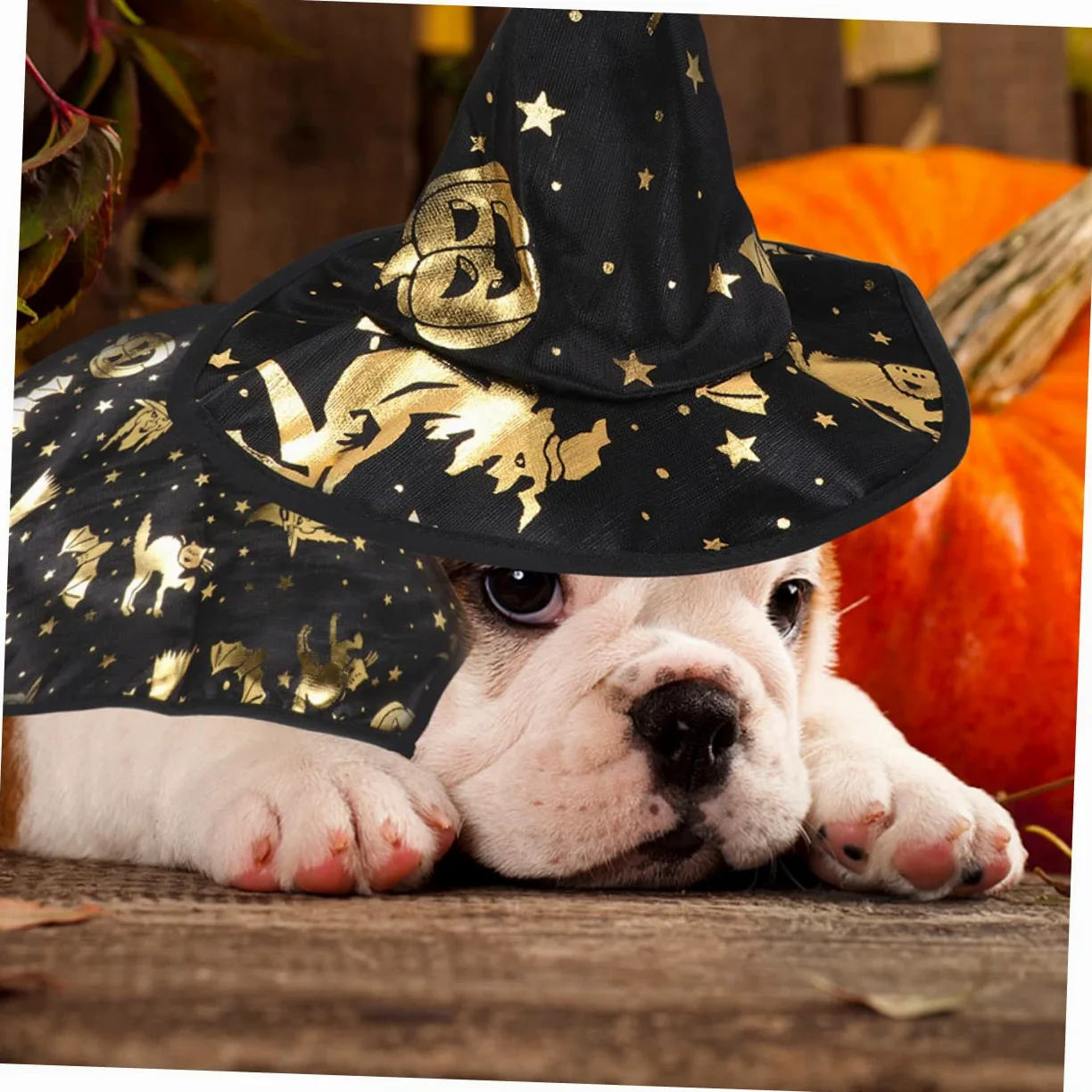 FRCOLOR 5 Set Stampato Mantello Da Mago Costume Per Il Gatto Mantello Da Strega Piccolo Cane Halloween Costume Del Cane Vestiti Dell'Animale Domestico Di Halloween o Del