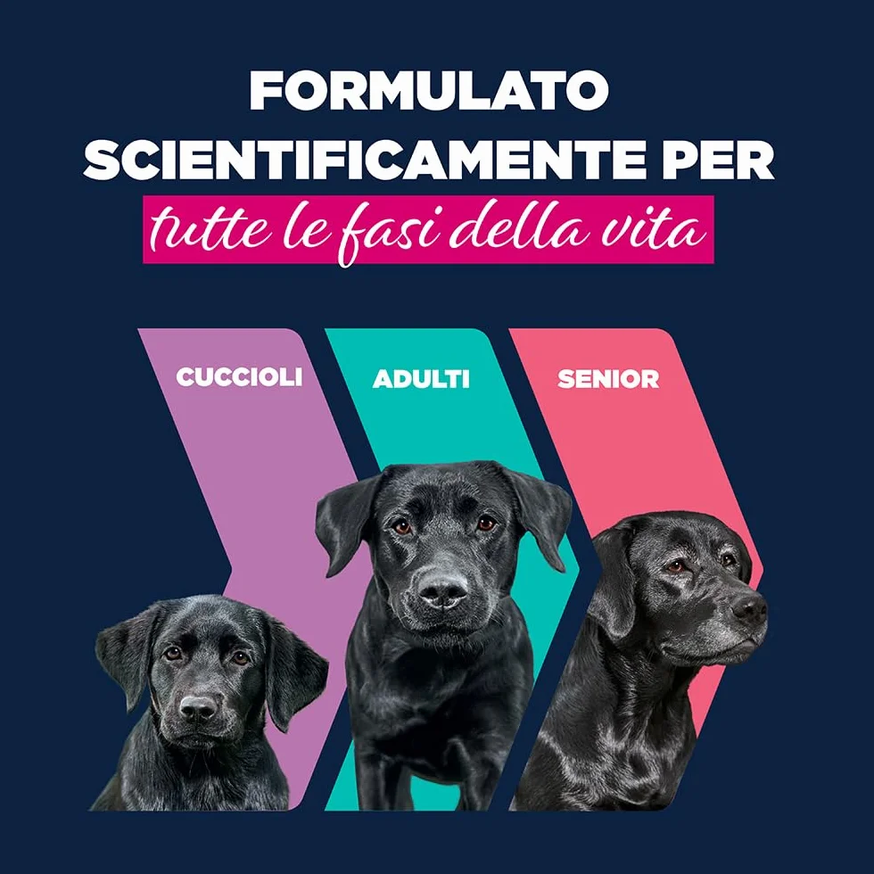 EUKANUBA Cibo umido per cani senior con tacchino e carote, cibo umido premium senza cereali per cani anziani, 6 x 400 g lattine