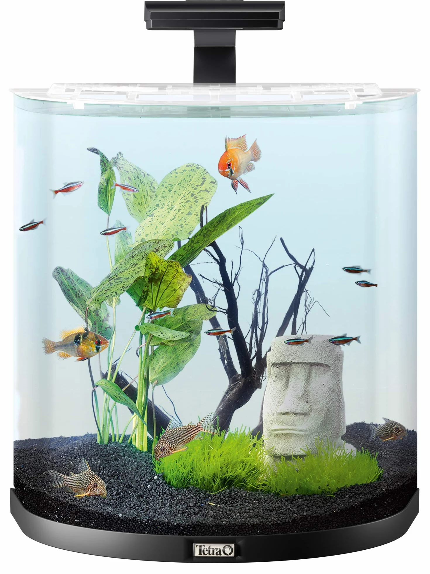 Tetra Aquaart Explorer Line Acquario, Antracite