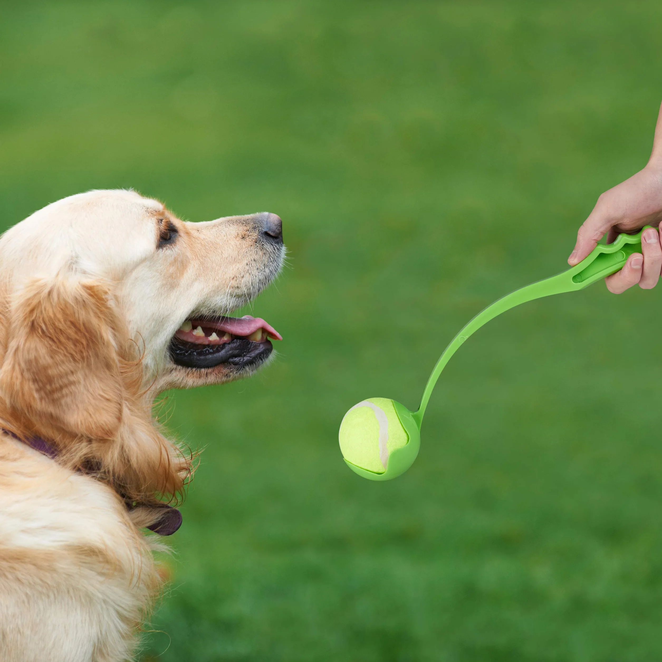 Relaxdays Lancia Palla per Cani, Set da 2 Giocattolo Ball Launcher per Animali Domestici, 5 Palline da Tennis, Blu Verde