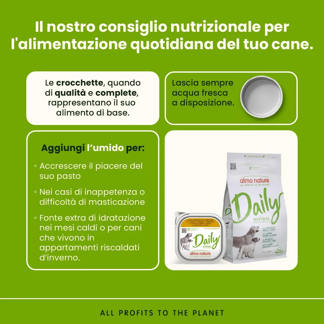 almo nature Daily con Pollo, Prosciutto & Formaggio - Ricetta Senza Glutine - Cibo Umido per Cani Adulti - Pacco da 9 x 300 g