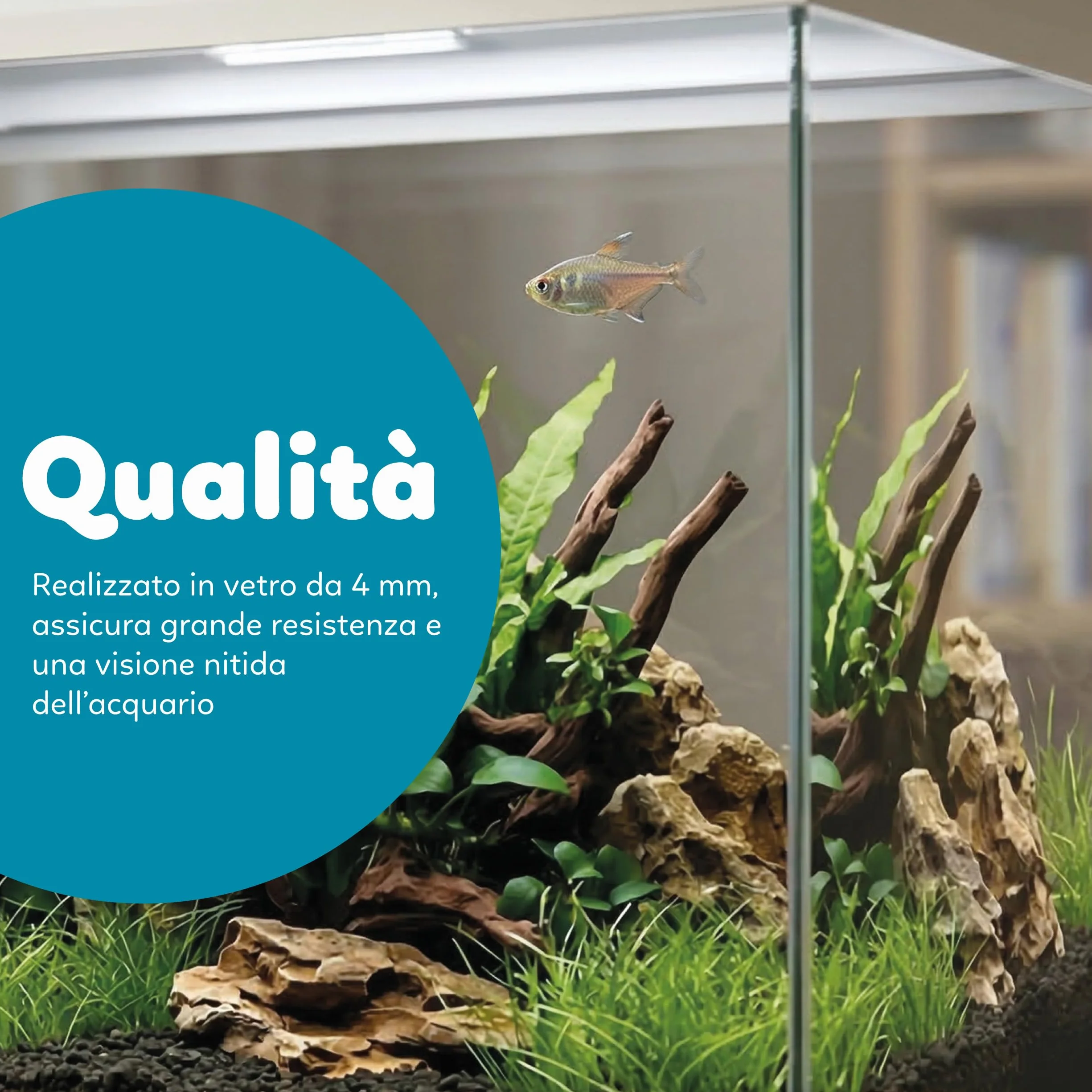 AQPET Acquario in Vetro per Pesci Tropicali Completo di Accessori Filtro Luce Simply, 60 59x30x39 cm 60 Litri, Bianco