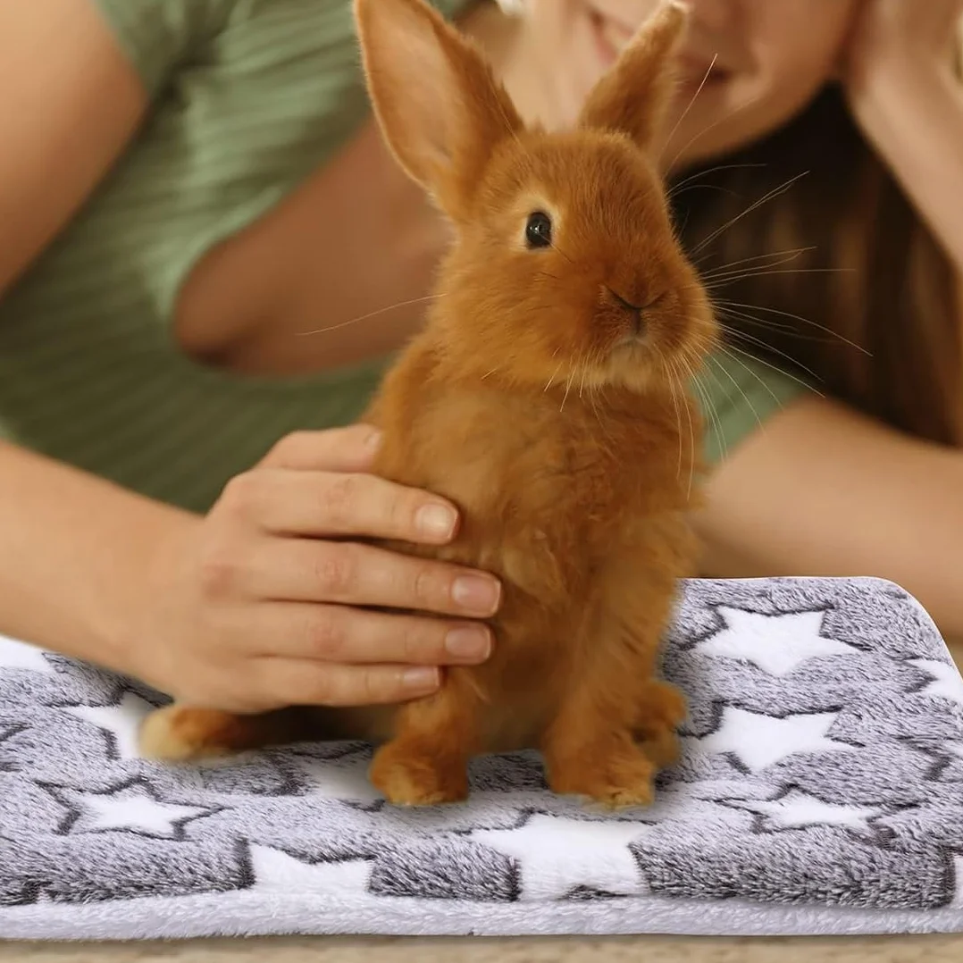 Set di 3 letti di peluche per piccoli animali, coperta morbida per porcellini d'India, conigli, cincillà, scoiattoli - tappeto per roditori lavabile
