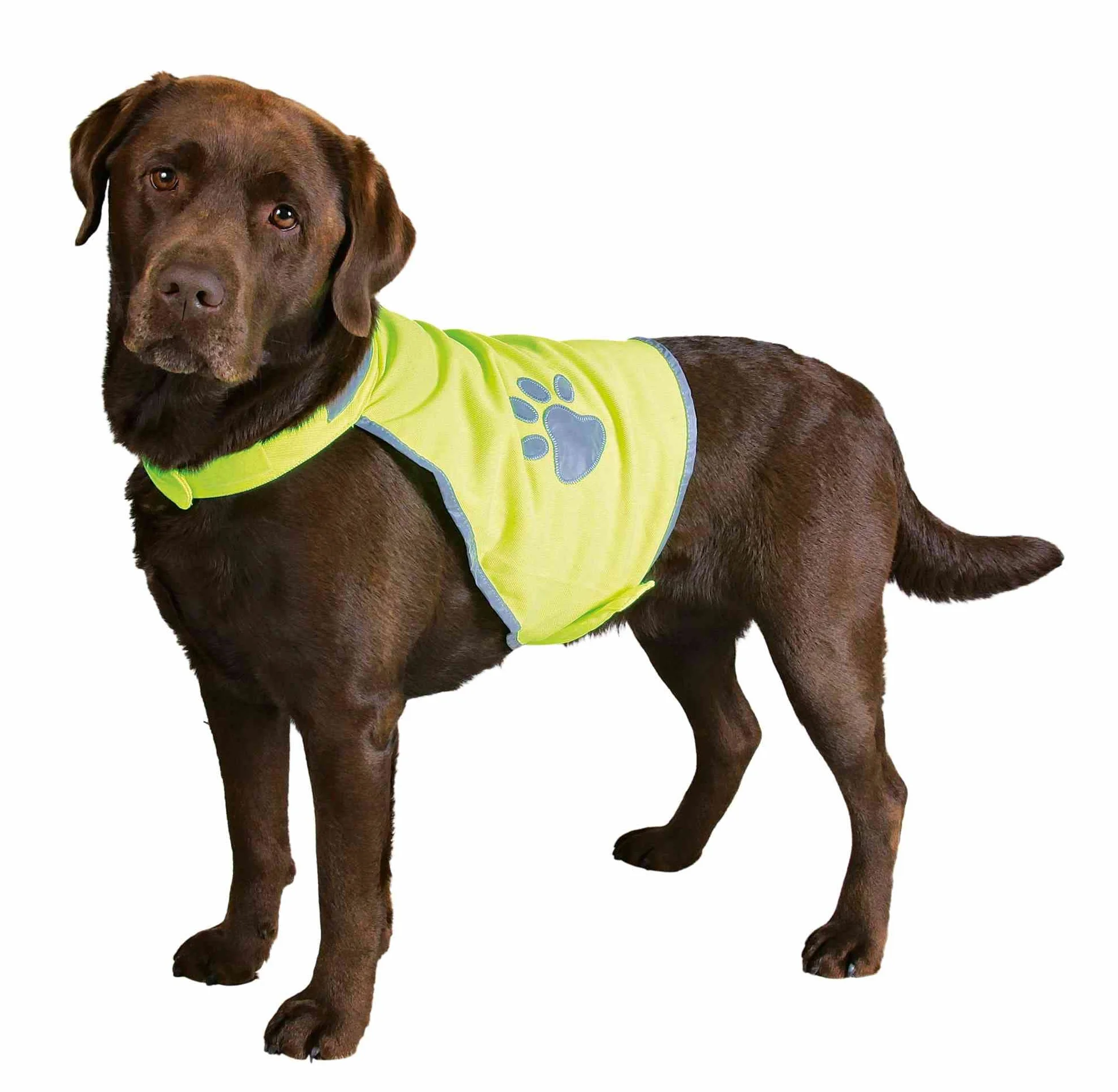 TRIXIE Sicurezza Maglia del Cane, Riflettente, Size: Medium - Uovo Border Collie, Beagle