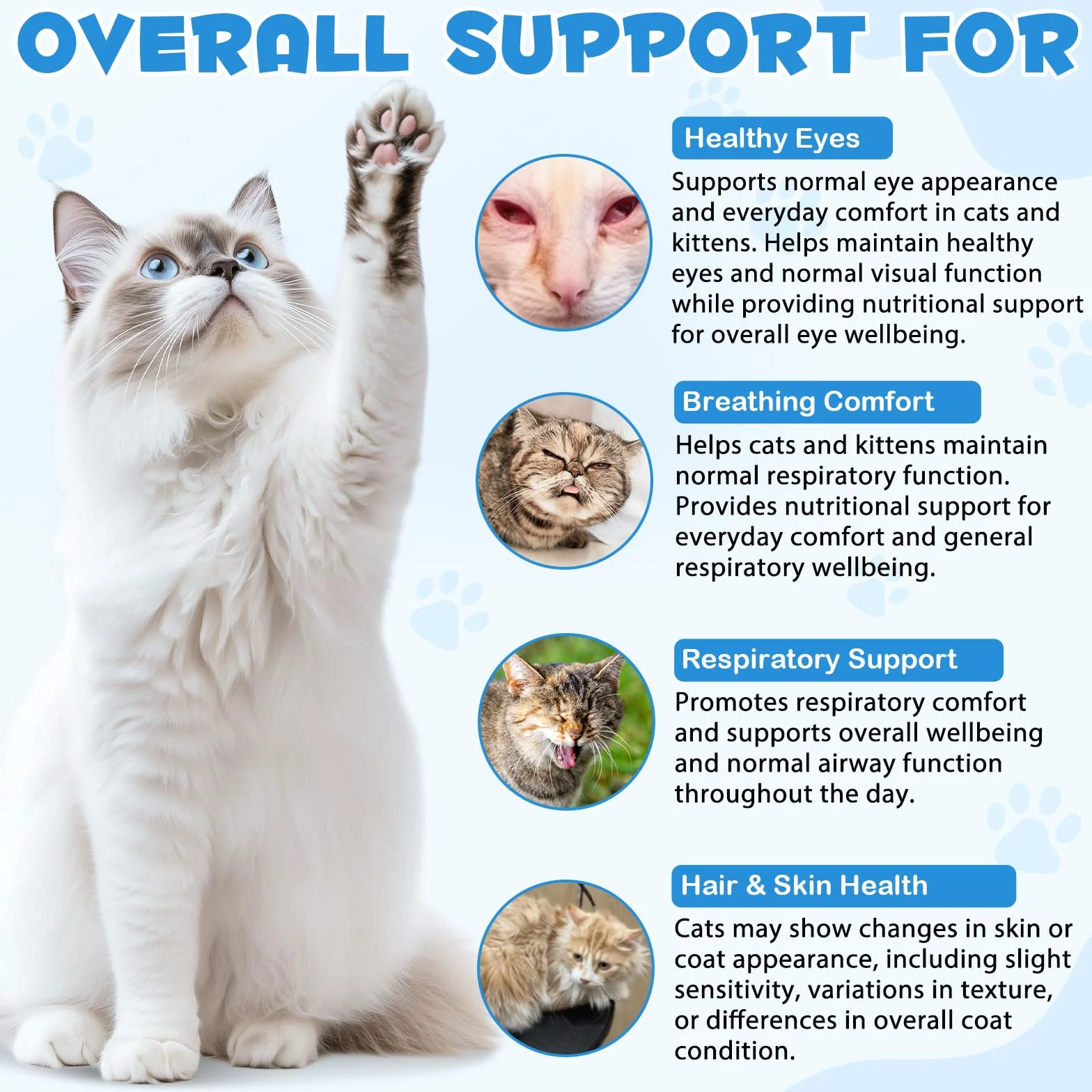 Lysin Cat - Gocce L-lisina per gatti, Supporta la salute del sistema immunitario, Allevia le allergie, favorisce la funzione respiratoria, mantiene la salute della pelle e del pelo 60 ml