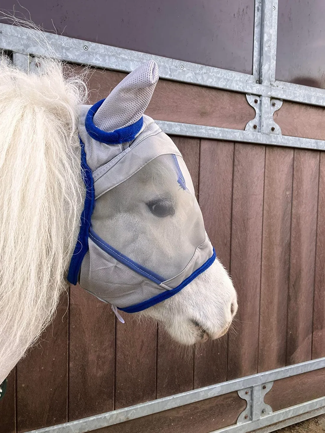 Ruggles Shetland Miniature Section A Maschera antimosche per cavallo e pony, mini piccola e grande, foderata in pile