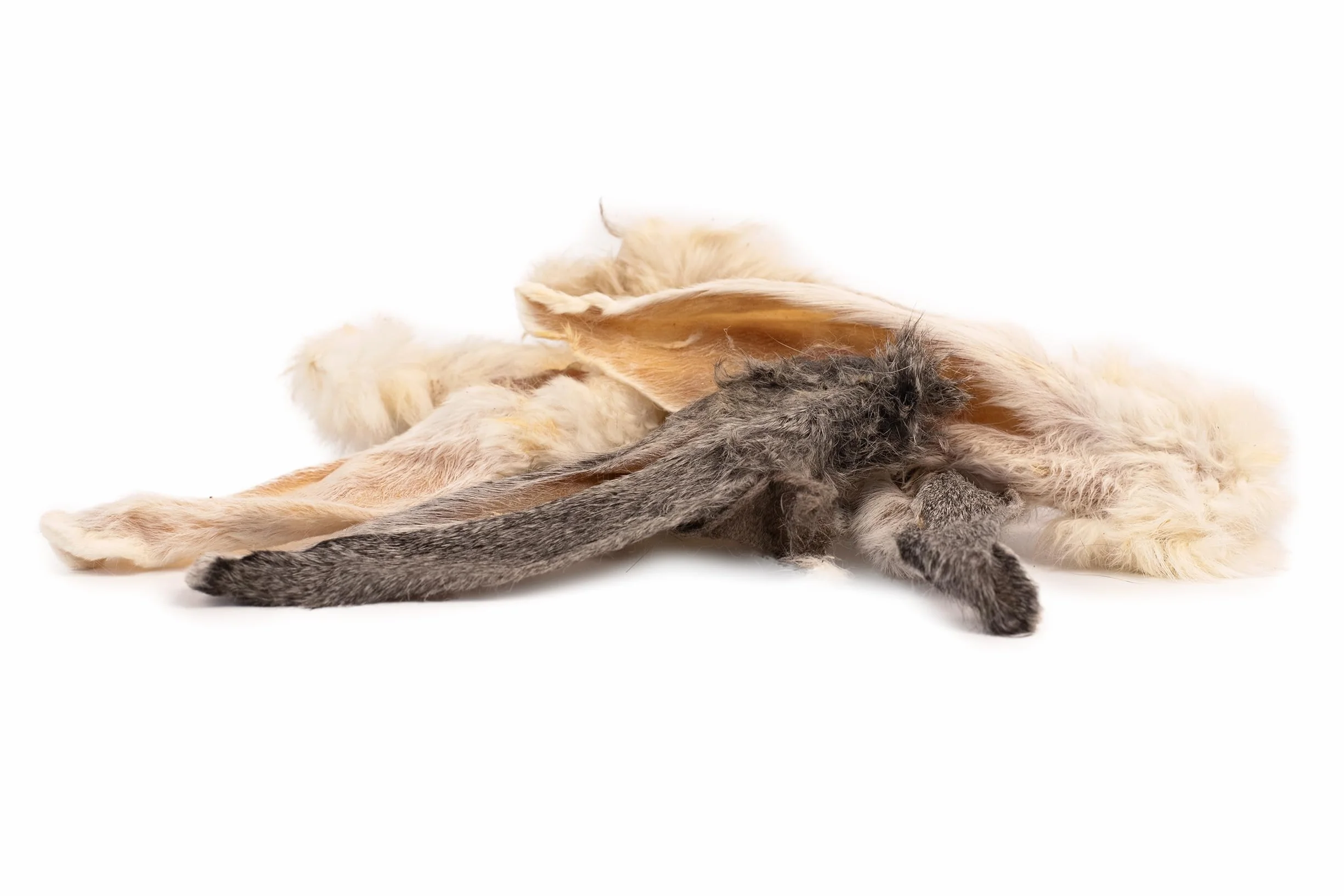 DIBO Orecchie di coniglio con pelliccia, sacchetto da 250 g, spuntino naturale essiccato al 100% per cani, pulizia naturale dell'intestino