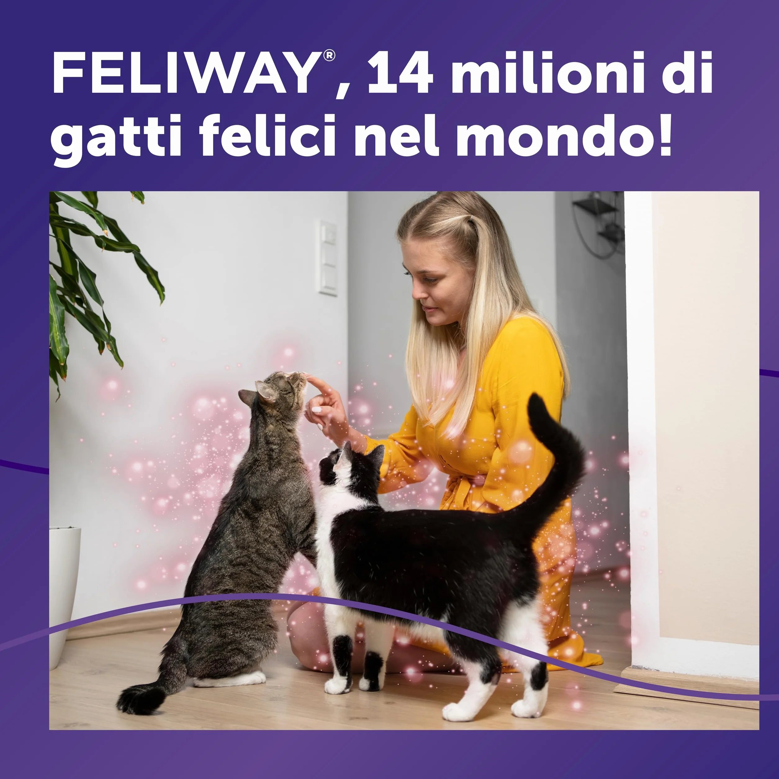 FELIWAY Friends 3x30 Giorni Ricariche Calmanti per Gatti per Diffusore di Feromoni, 48 ml – Aiuta a creare armonia e a ridurre i conflitti nelle case con più gatti. Raccomandato dai veterinari