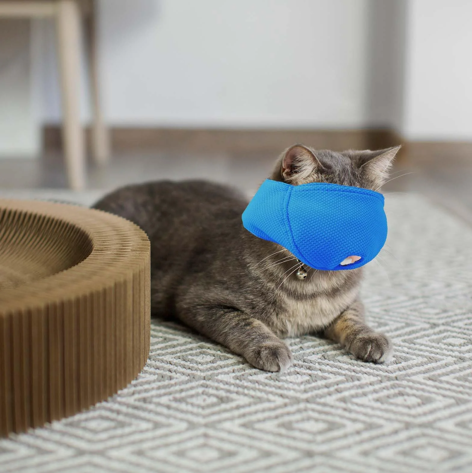 OHCOZZY Museruola Gatto con Rete Traspirante, Maschera per La Bocca del Gatto per Prevenire I Morsi e La Masticazione(L, Blu)