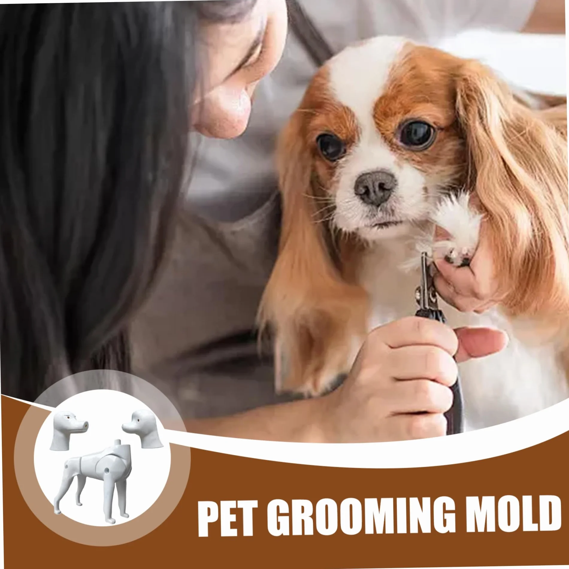 Modello per cani Mannequin, 2 in 1 Pomeranian & Poodle Dog Model, strumento di pratica di toelettatura per l'addestramento del toelettatore