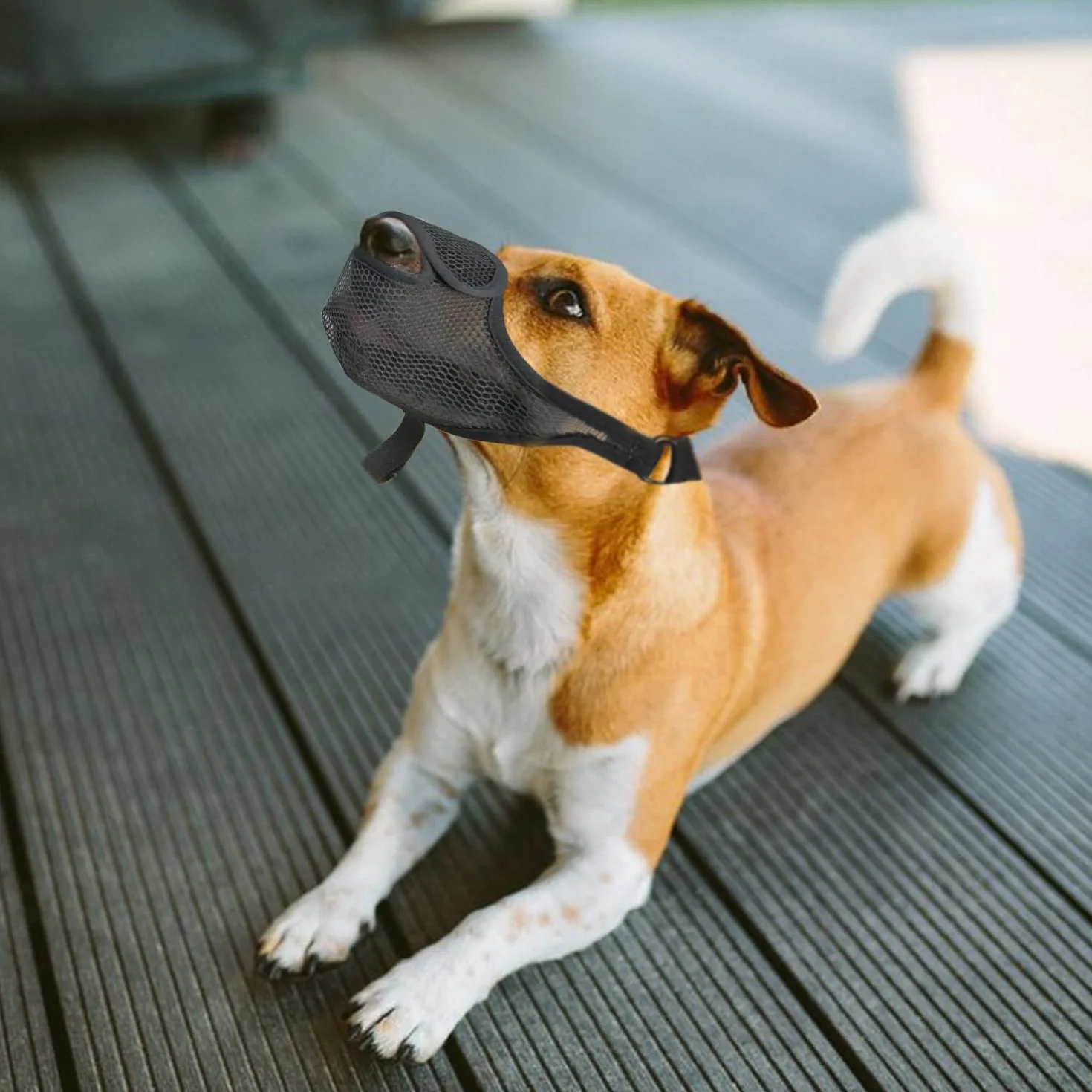Voarge 1 pezzo museruola per cani, museruola per cani traspirante per cani di taglia grande, museruola regolabile per proteggere dal abbaiare, L