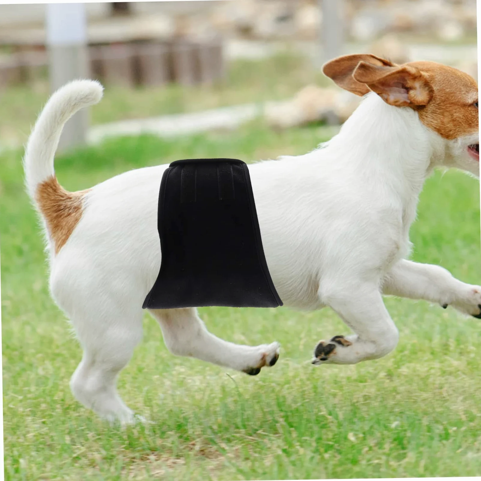 INOOMP 3pezzi Pannolino Riutilizzabile Per Cani Maschi Fascia Addominale Lavabile Protezione Contro Perdite Per Uso Domestico Design Comodo e Leggero Taglia Media