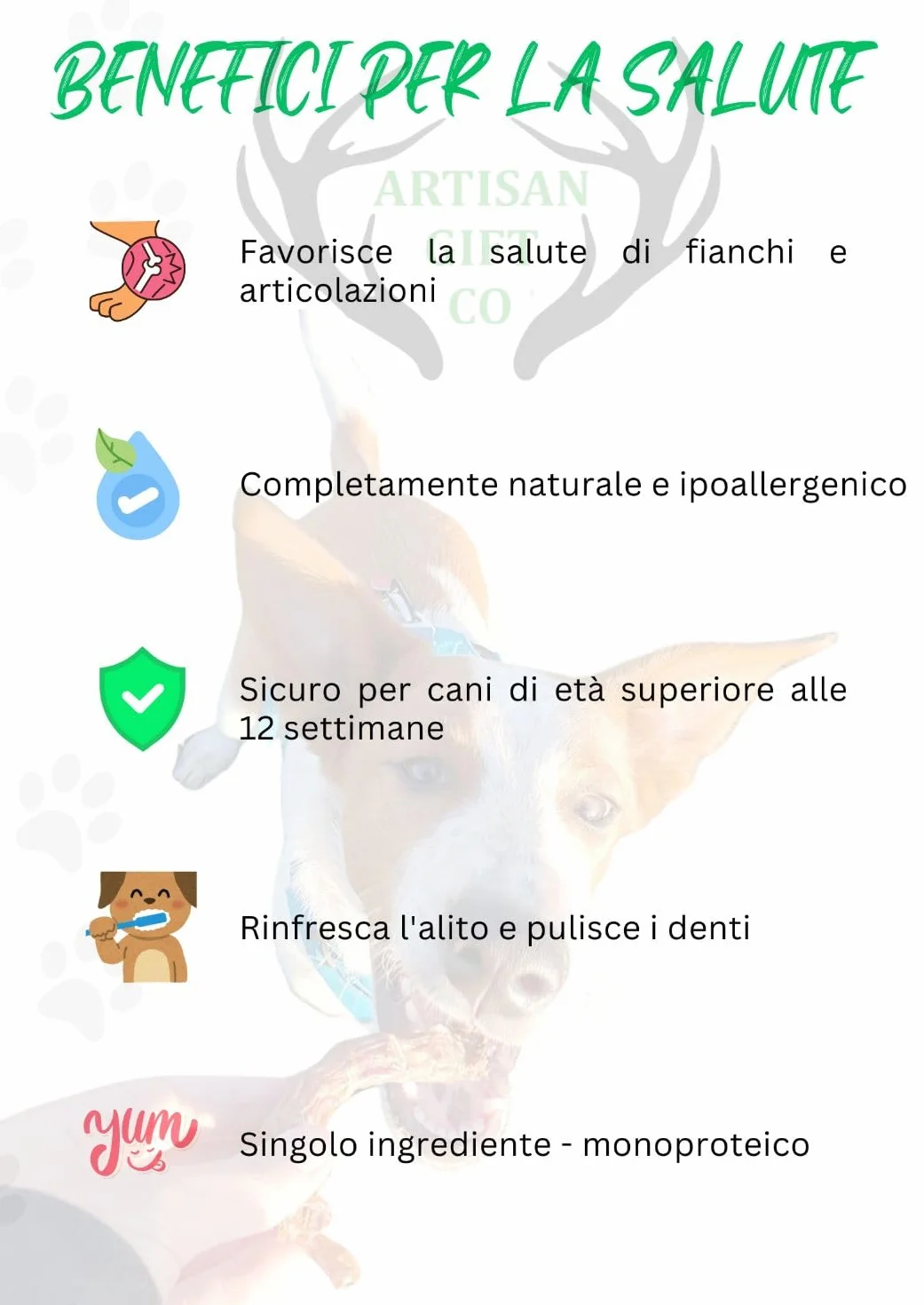 Collo di Anatra per Cani, 1 kg | Snack Naturale Essicato per Cani e Cuccioli