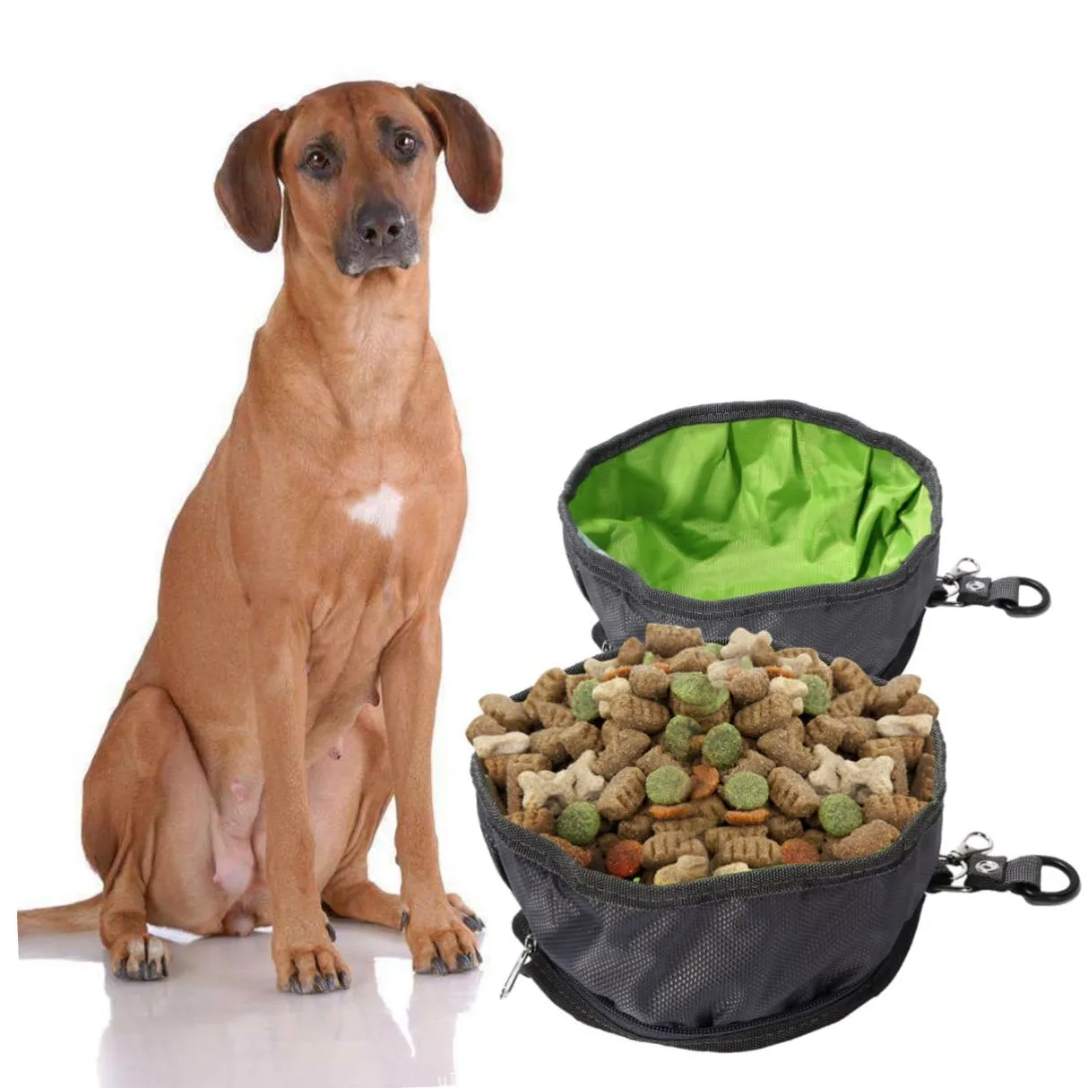 FOMIYES Ciotole Per Da 4 Ciotole Per Escursioni Per Escursioni Per Animali Domestici Da Per Mangiatoia Per Da