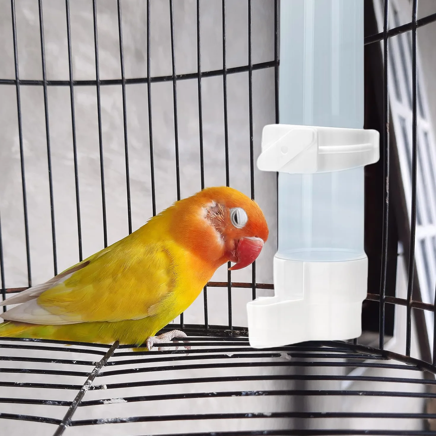 Mangiatoia per uccelli, 2 pezzi Distributore automatico di acqua per uccelli per pappagalli, parrocchetti, parrocchetti e calopsitte, Abbeveratoi per gabbia per uccelli Capacità 120 ml (bianco)