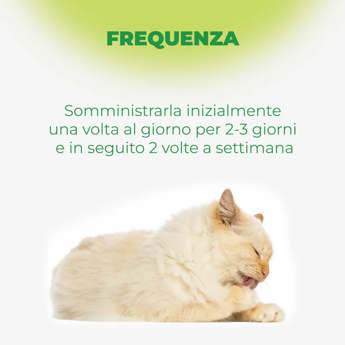MSD Animal Health Remover, 20 g - 1 Prodotto