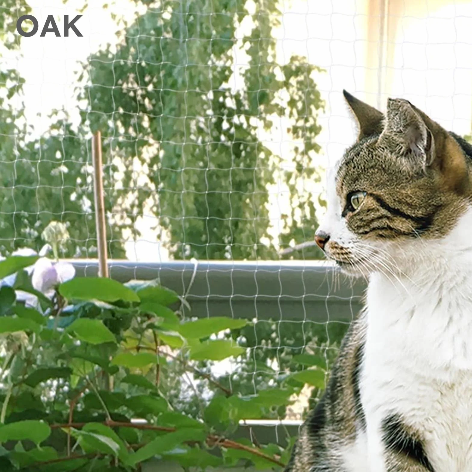 Rete di protezione per gatto per balcone, anti-uccelli e piccioni, in nylon forte resilienza, protezione da giardino (10 x 10 m/trasparente)