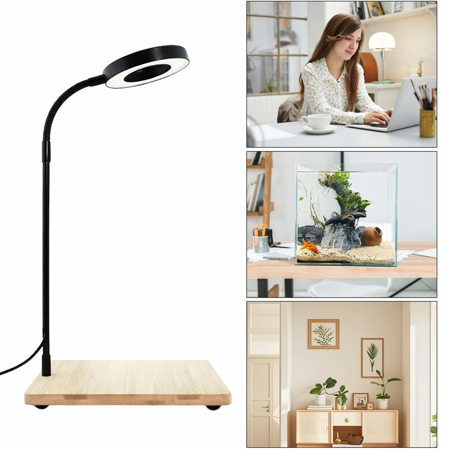 Generico Lampada da scrivania a LED - Lampada a LED rotante, Coltivazione di acquari e terrari, Display da scrivania per studio domestico, a USB, Luce per piante da tavolo, Apparecchio per uffi