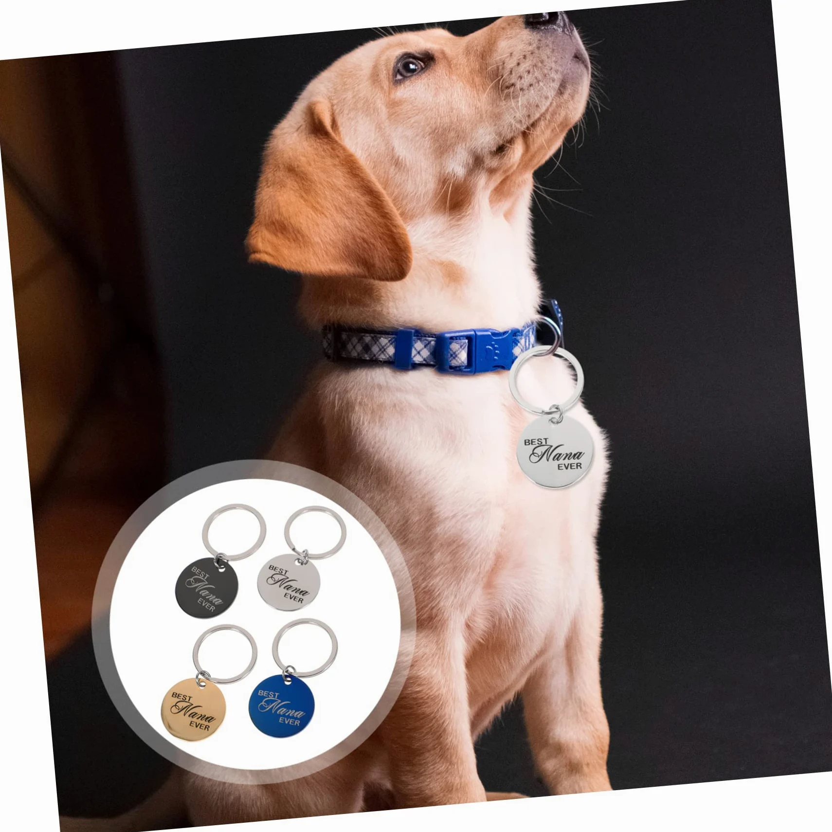 minkissy 20 Pz Identificazione dell'animale domestico medaglietta vuota targhette identificative per cani etichette cucciolo collare per cani con targhetta collare con per cani scritte