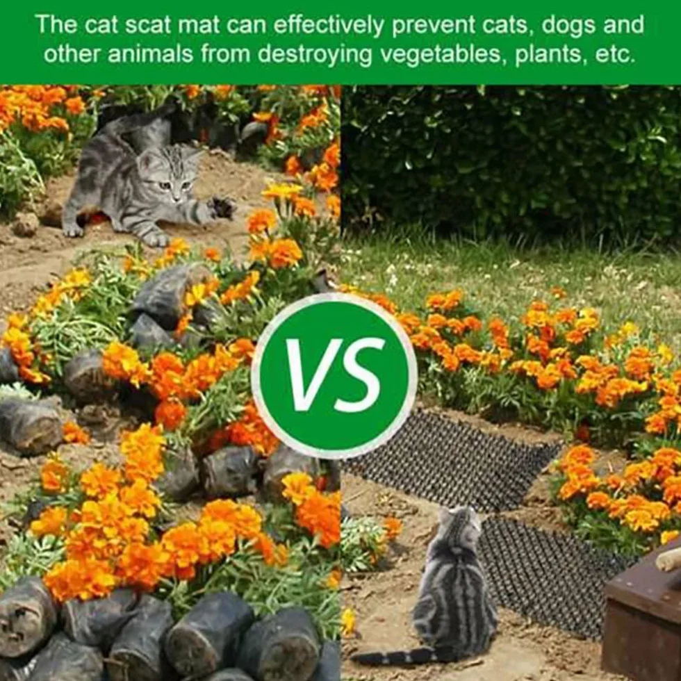 Tappetino Anti Gatto,Tappetino Repellente per Gatti, Dissuasore Gatti con Punte,con 8 pioli,Plastica Rete Spinata per Animali Selvaggio Protezione delle Piante da Giardino all'aperto 200 * 30 cm