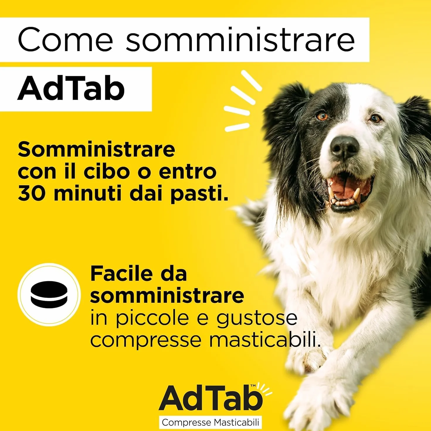 AdTab Compresse Masticabili per Cani >22-45 kg - 6 Compresse