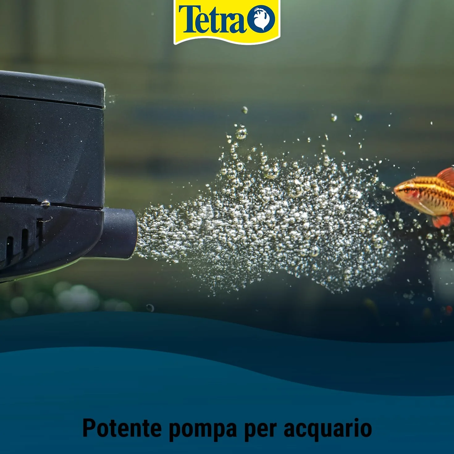 Tetra WP Pompa per Acquari di 10-80 L