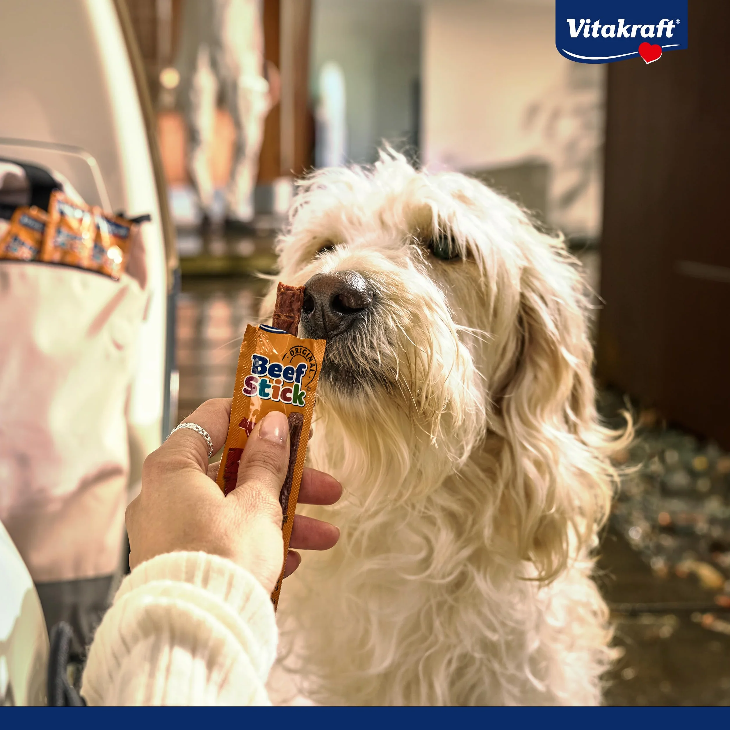 Vitakraft Beef Stick Quadros, snack cane, barrette di carne quadrate con patate e fegato, snack per l’addestramento del cane, senza zuccheri aggiunti (1x 70g)