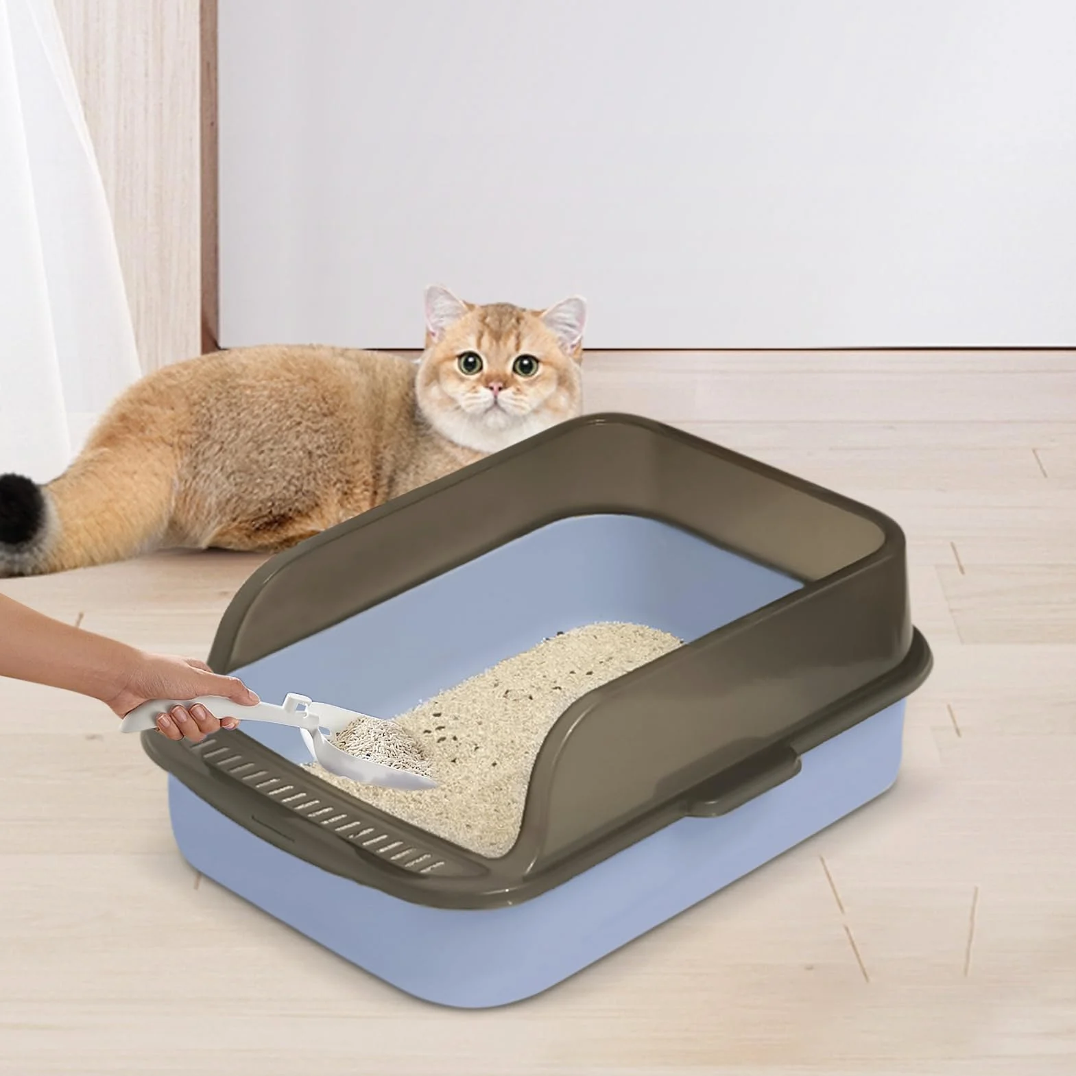 Lettiera Per Gatto Aperta Grande - Toilette Igienica Per Gattini Facile Da Pulire, Lettiera Con Bordo Rialzato, Cassettina Anti-Schizzo | Lettiera Con Facciata Alta Per Gatti Domestici, Box Gatto Cont