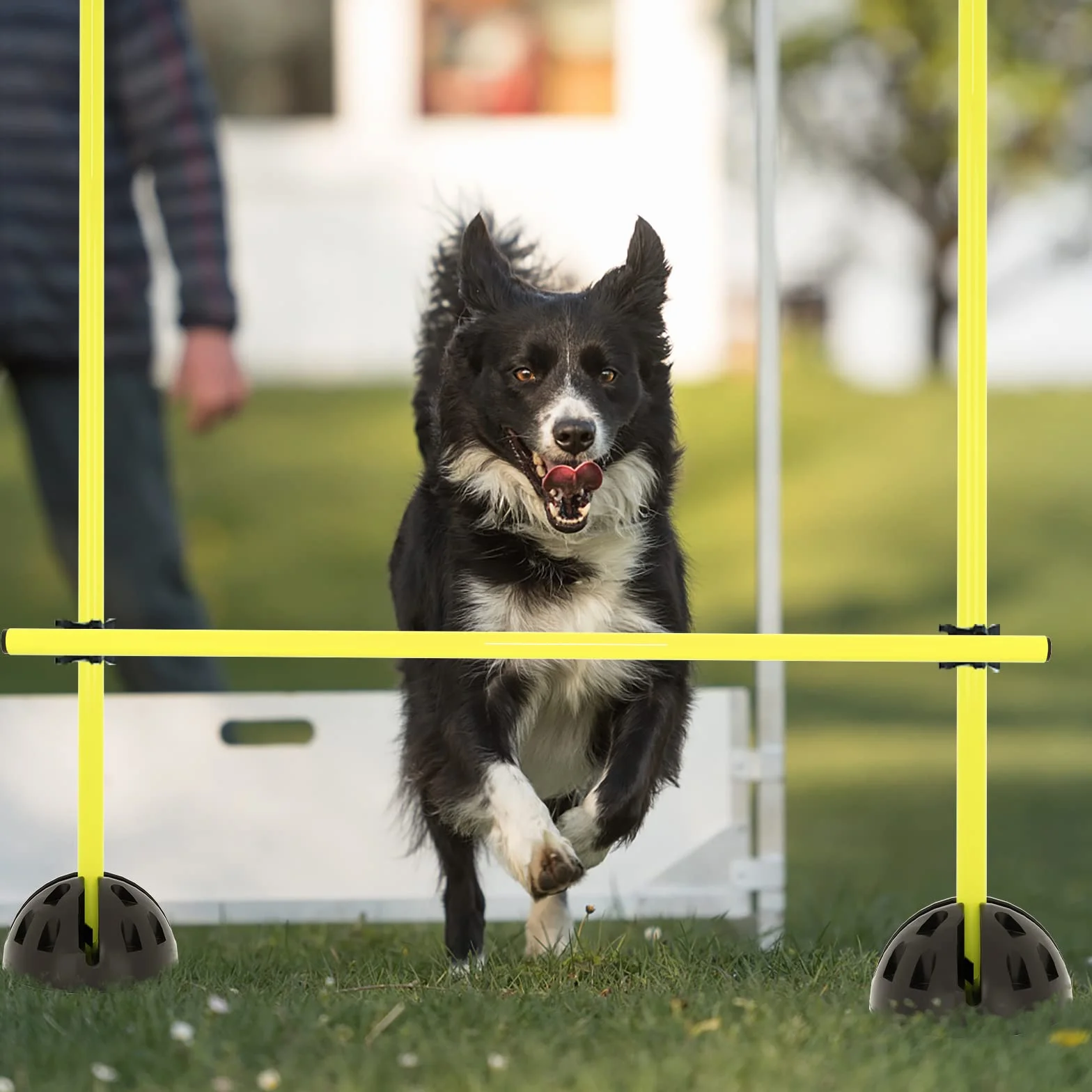 HENGMEI Agility Grid Set di barre per saltare Set per ostacoli e allenamento per ostacoli