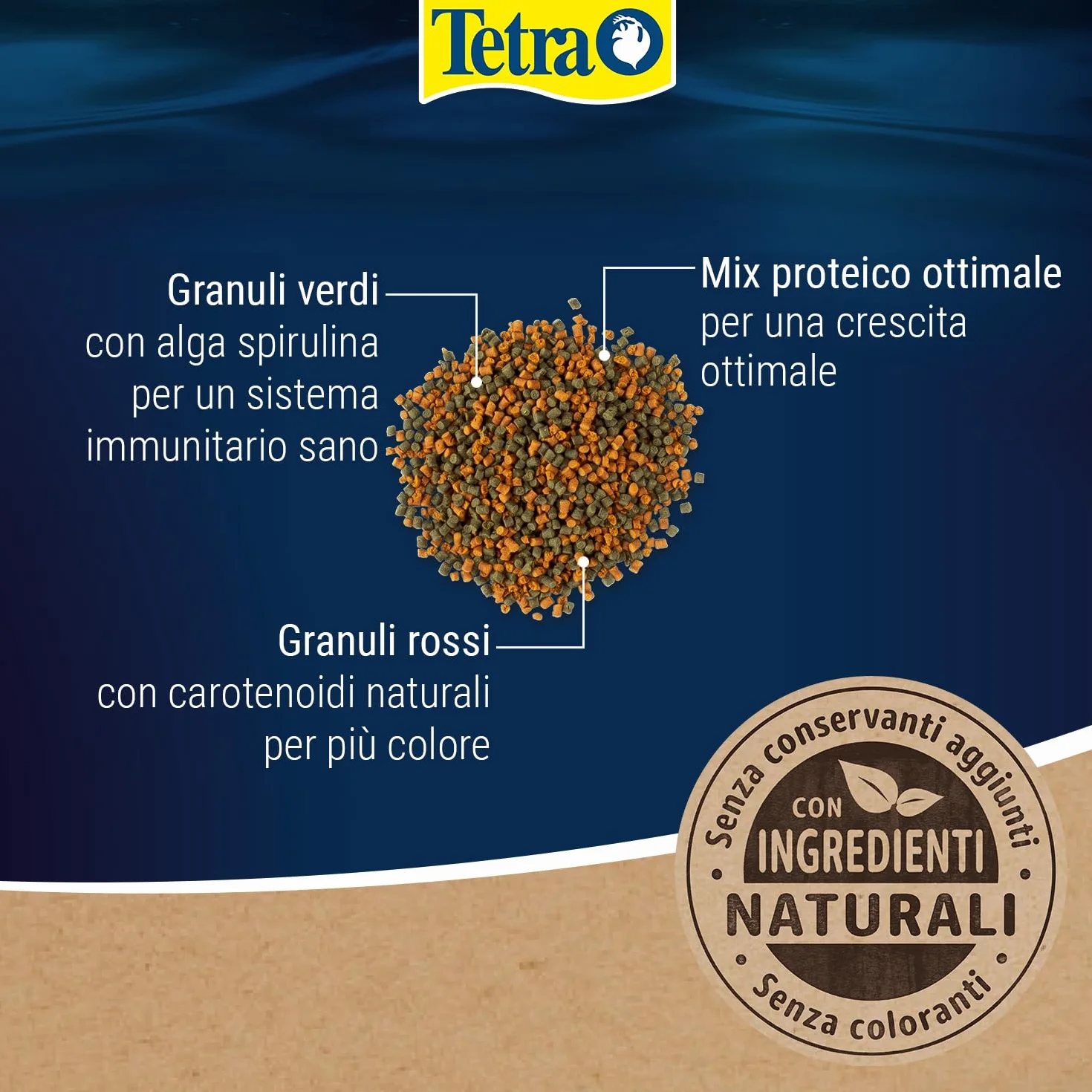 Tetra Cichlid Granules - Miscela di cibo principale con 2 granuli diversi per ciclidi di medie dimensioni, lattina da 500 ml