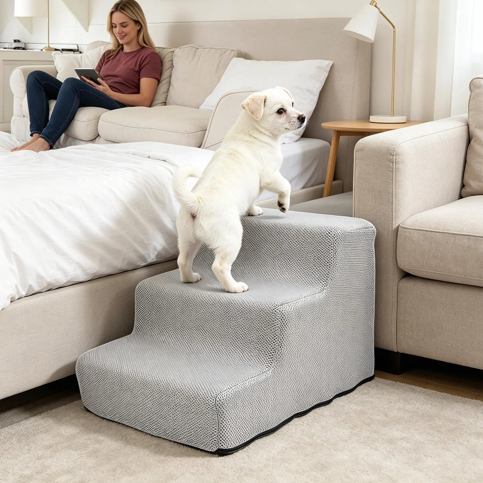 Scale per animali, gradini antiscivolo per – divano, adatto al foyer degli amanti delle , comodino, convalescenza, , soggiorno, ufficio, davanzale