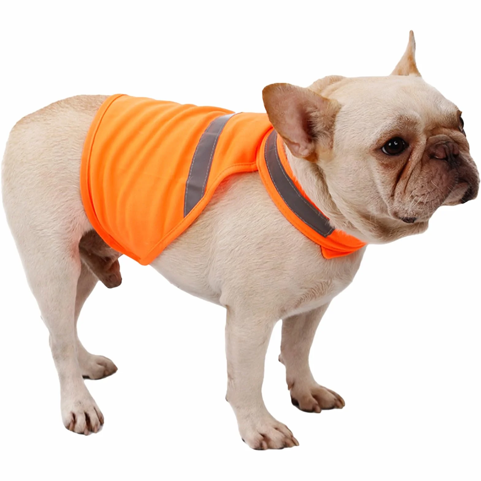 Gilet riflettente per cani, Gilet fluorescente traspirante per visibilità del cane, riflettente regolabile, Comodi articoli per animali domestici per la caccia, l'allenamento e le attività