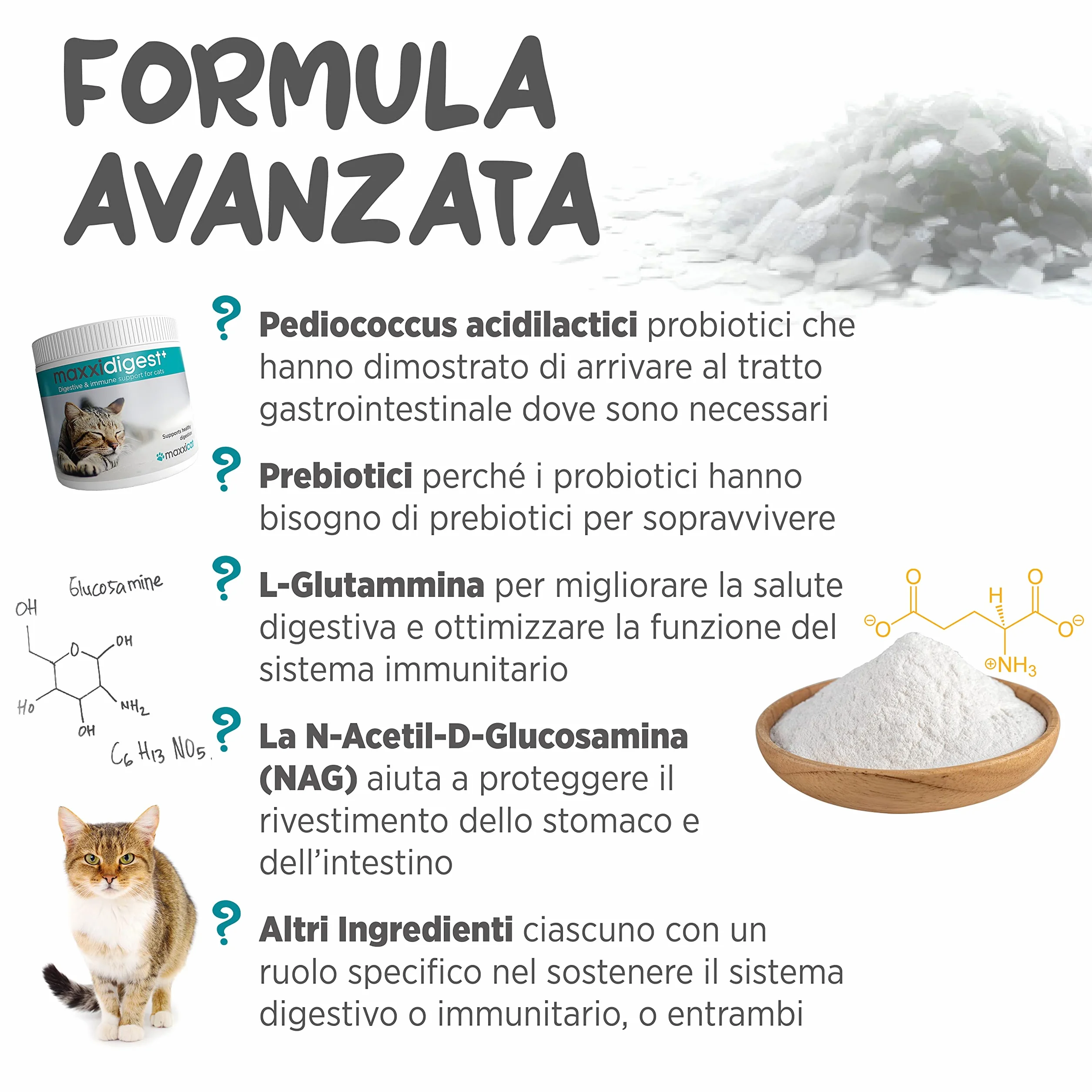 maxxipaws maxxidigest+ Prebiotici e Probiotici per Gatti - Integratore per l'Apparato Digerente e il Sistema Immunitario, 90g