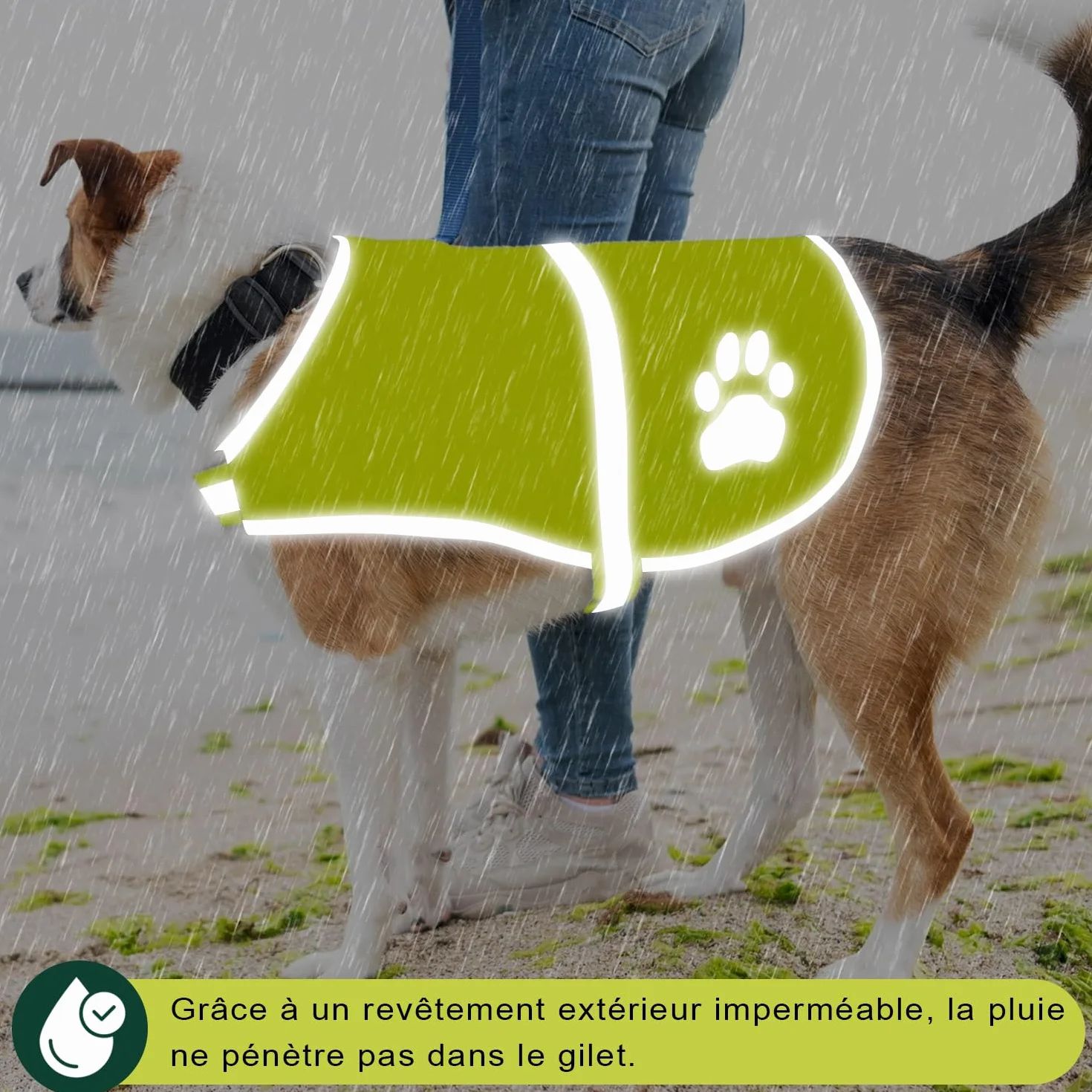 Voarge Gilet di Sicurezza Riflettente per Cani, Alta Visibilità, Giacca Riflettente Giubbotto di Sicurezza Giubbotto di Animale Domestico per Notte All'aperto L