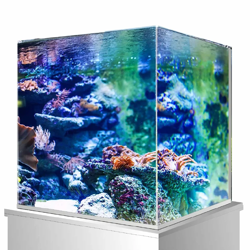Amtra Nanoscaping - Vasca Acquario 21 Litri - Teca Vetro Extra Chiaro 36x23x26 cm - Vaschetta per Pesci Rossi o Come Tartarughiera Per Tartarughe d'Acqua con Tappetino Ammortizzante Incluso