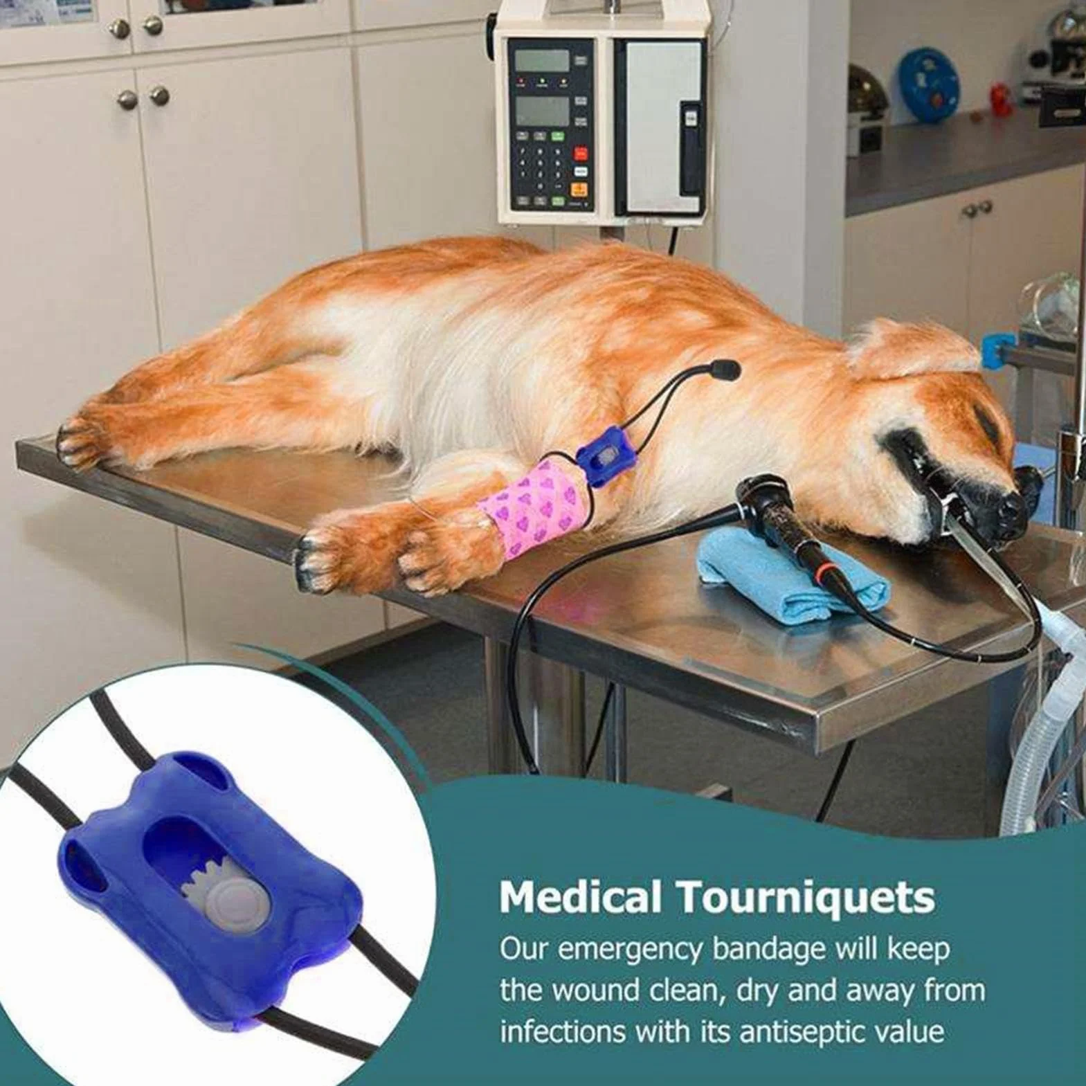 Generico Benda per Laccio Emostatico per Animali Domestici - Fascia per Mini Trauma in PP di Emergenza per Controllo Sanguinamento A Sgancio Rapido | Strumento Veterinario Portatile | Cura delle