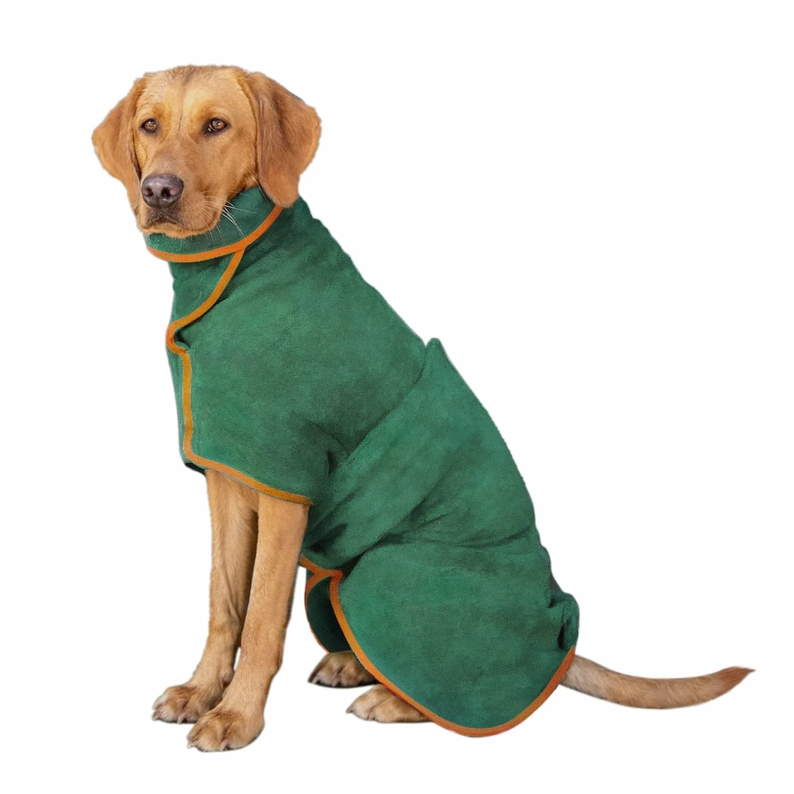 Accappatoio per Cani in Microfibra, Super Assorbente, Accappatoio per Cani con Fibbia Adesiva Regolabile per Animali Domestici per Dopo Bagno, in Spiaggia o Dopo la Pioggia (M)