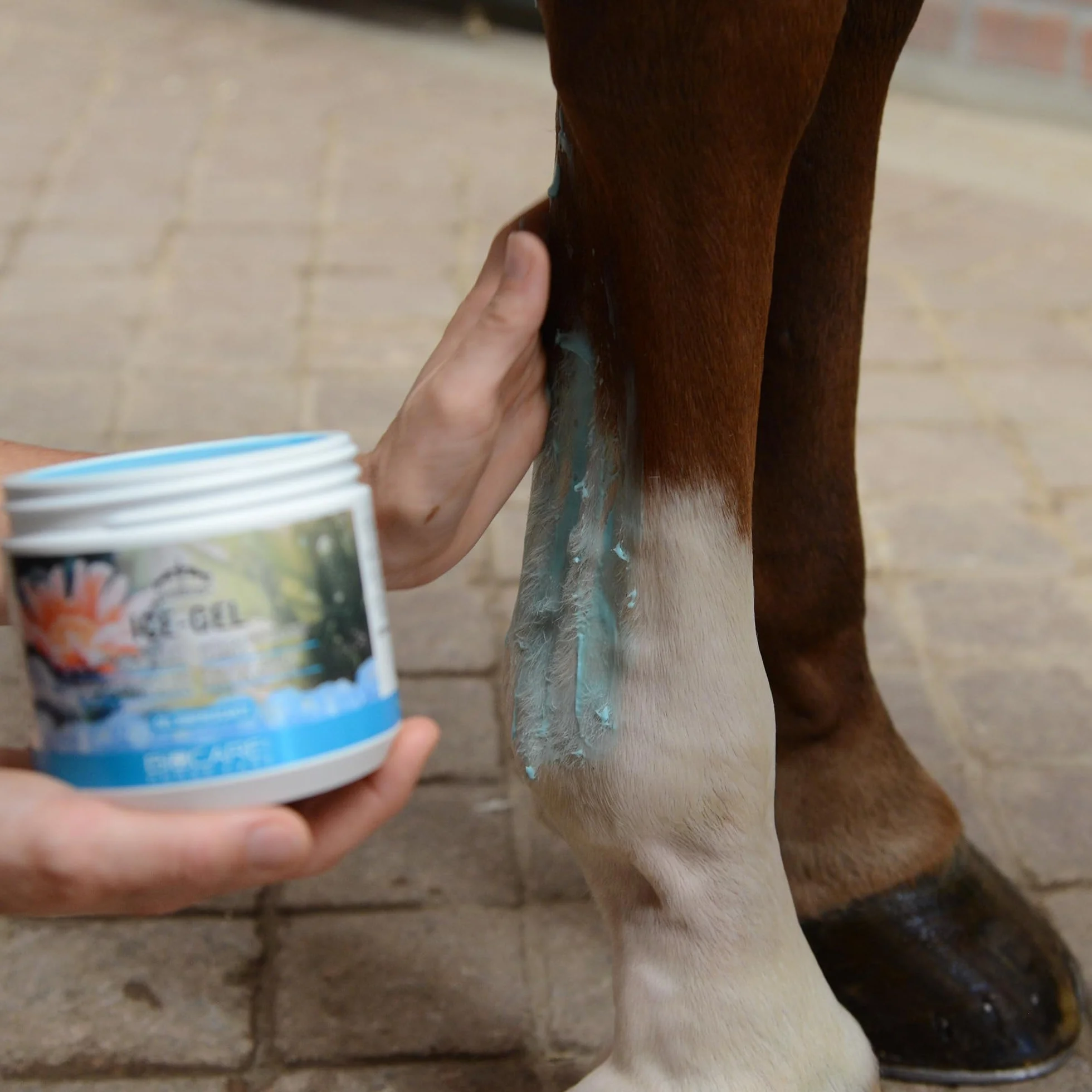 Veredus Ice-Gel con Calendula e alghe marine