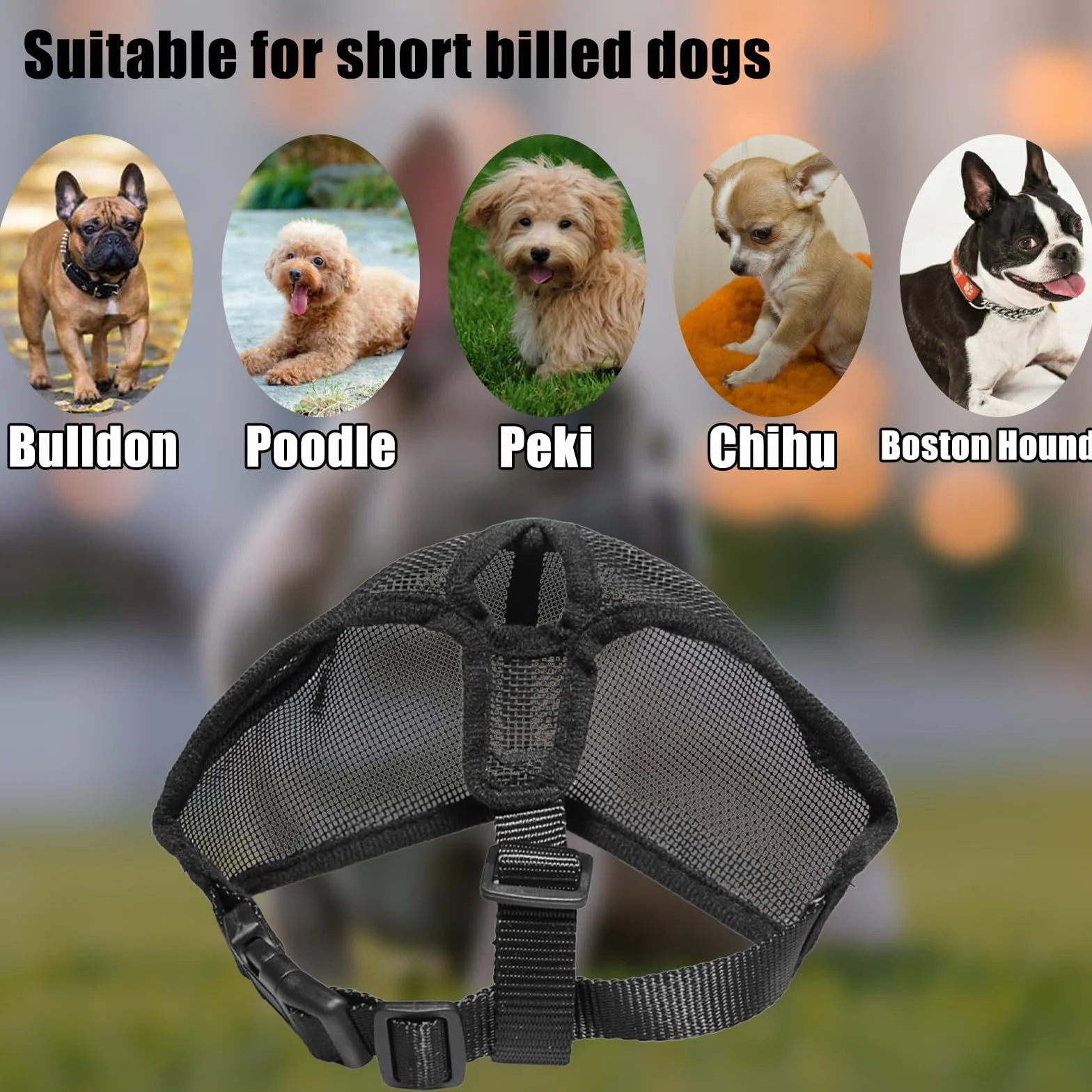 Museruola Maschera Antimorsata Piatta per Cani a Muso Breve, Bulldog Francese, Shih Tzu e Pug