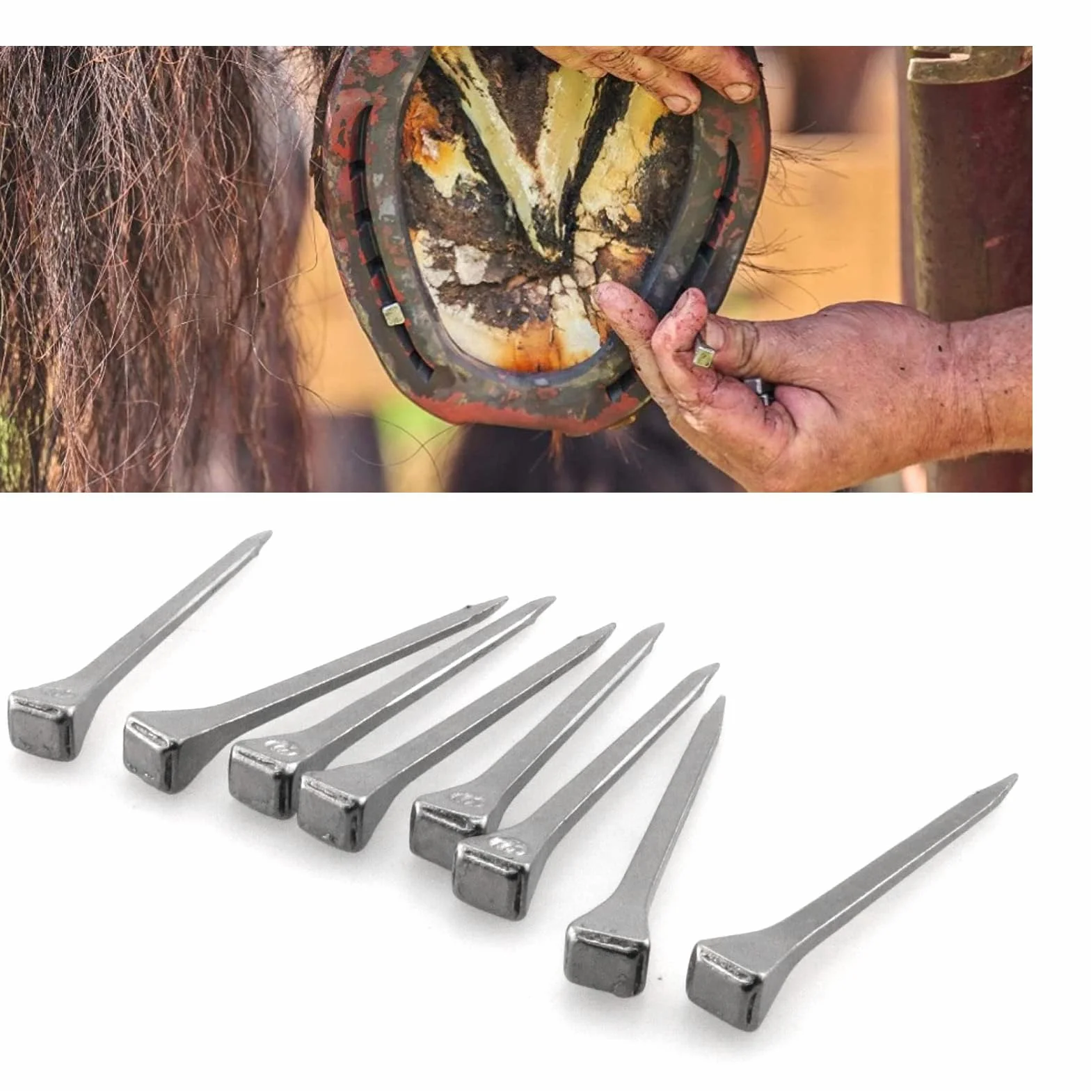 40 Pezzi Chiodo a Ferro di Cavallo, 54 mm Chiodi per Zoccoli, Acciaio Carbonio, non Facile Arrugginire, Ferro di Cavallo Stabile Accessori Chiodi, per Riparare Ferri Cavallo, Argento