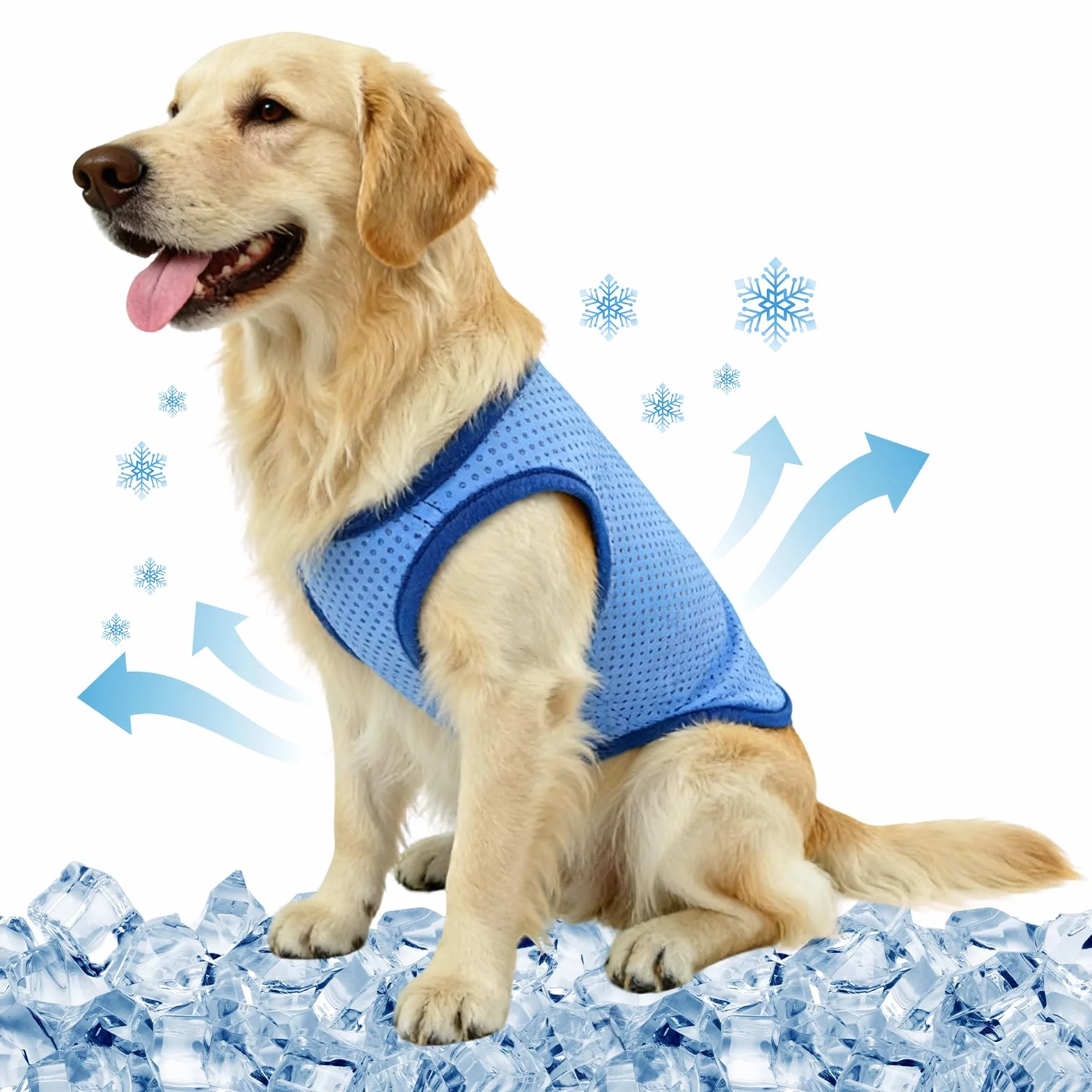 Maglia Refrigerante Cane, Traspirante Gilet Rinfrescante Cane, Fresco e Confortevole Gilet Refrigerante per Cani, Cappotto Rinfrescante Animale, per L'estate, Animali Domestici di Tutte le Taglie (M)