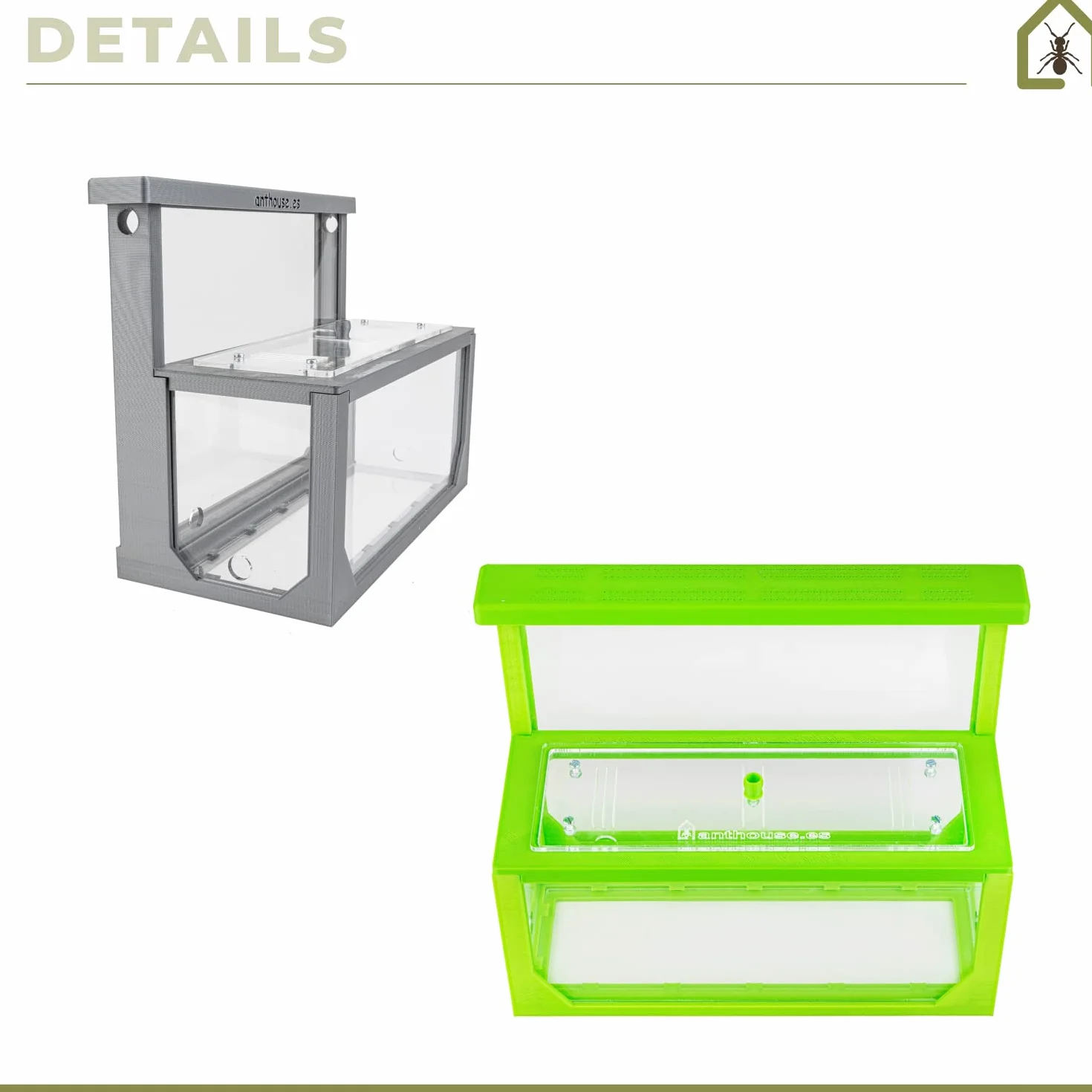 AntHouse - Formicaio Naturale di Sabbia 3D Verde | Kit L (Sandwich + Cassa di Foraggiamento) | Formiche Incluse con Regina